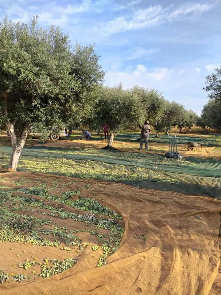 Natural landscape in Hotel Donna Carmela Sede Unica a Sciacca