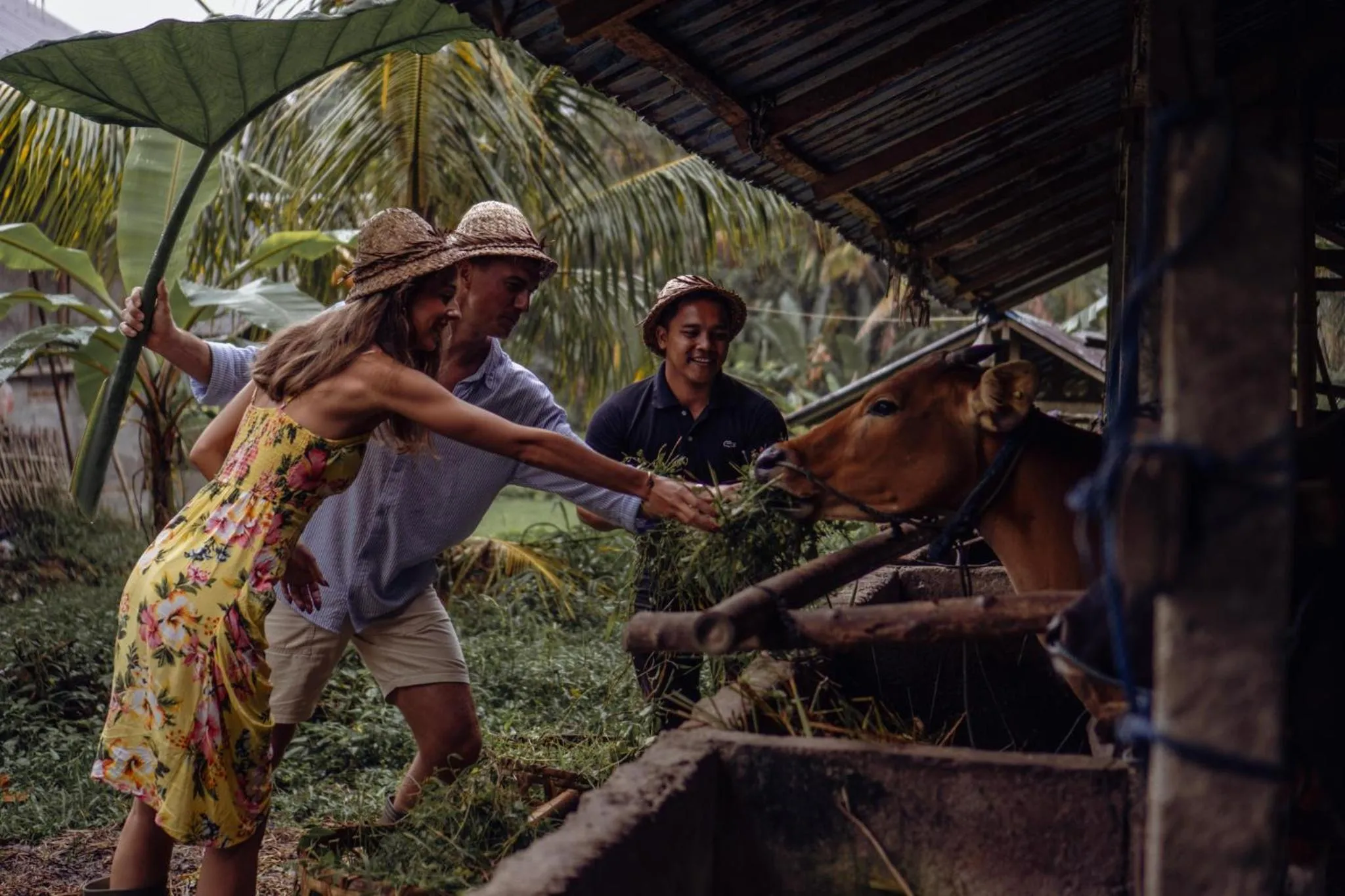 Other in Maar Resort & Spa Ubud by Ini Vie Hospitality