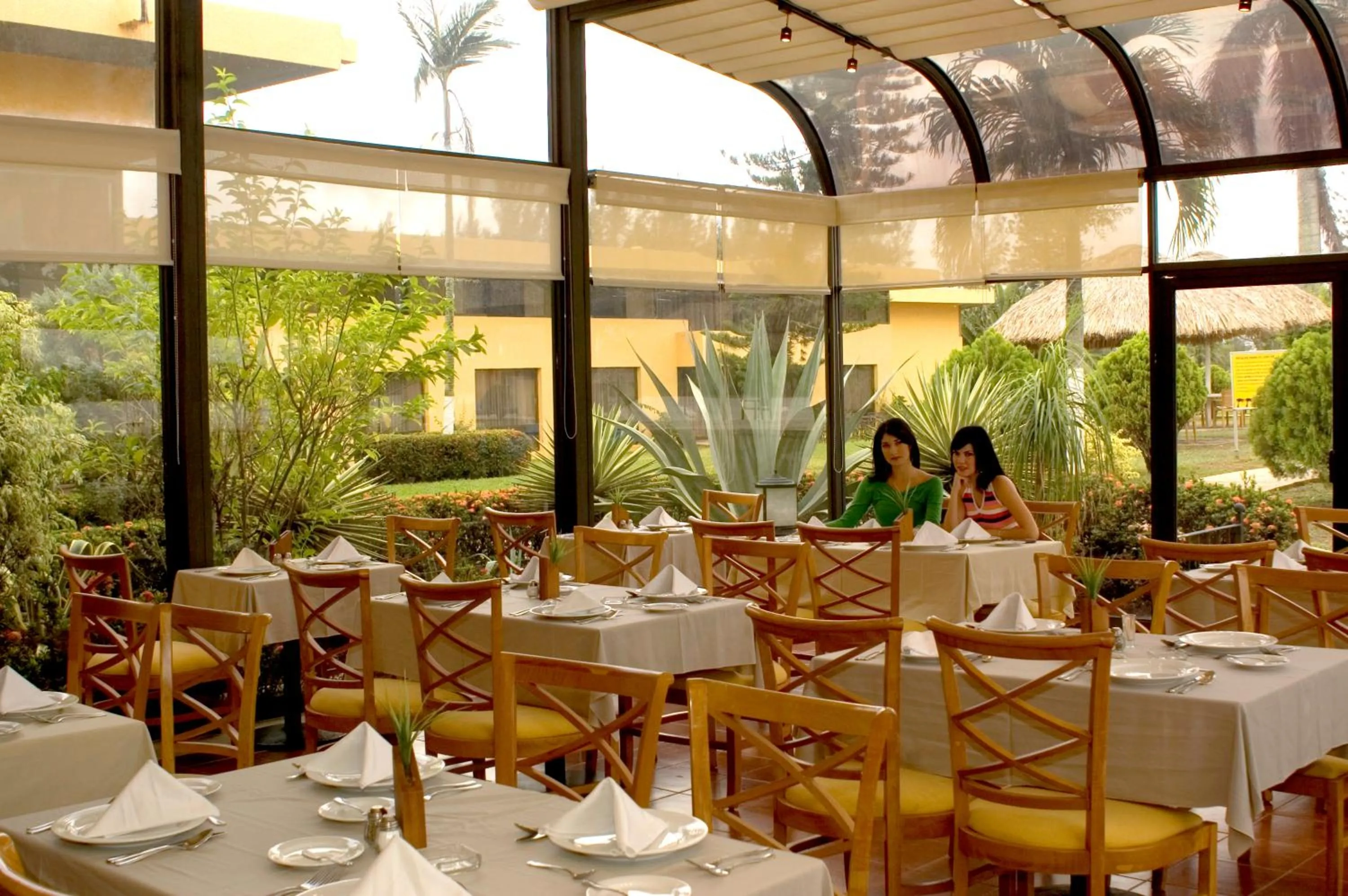 Restaurant/places to eat in Hotel Terranova