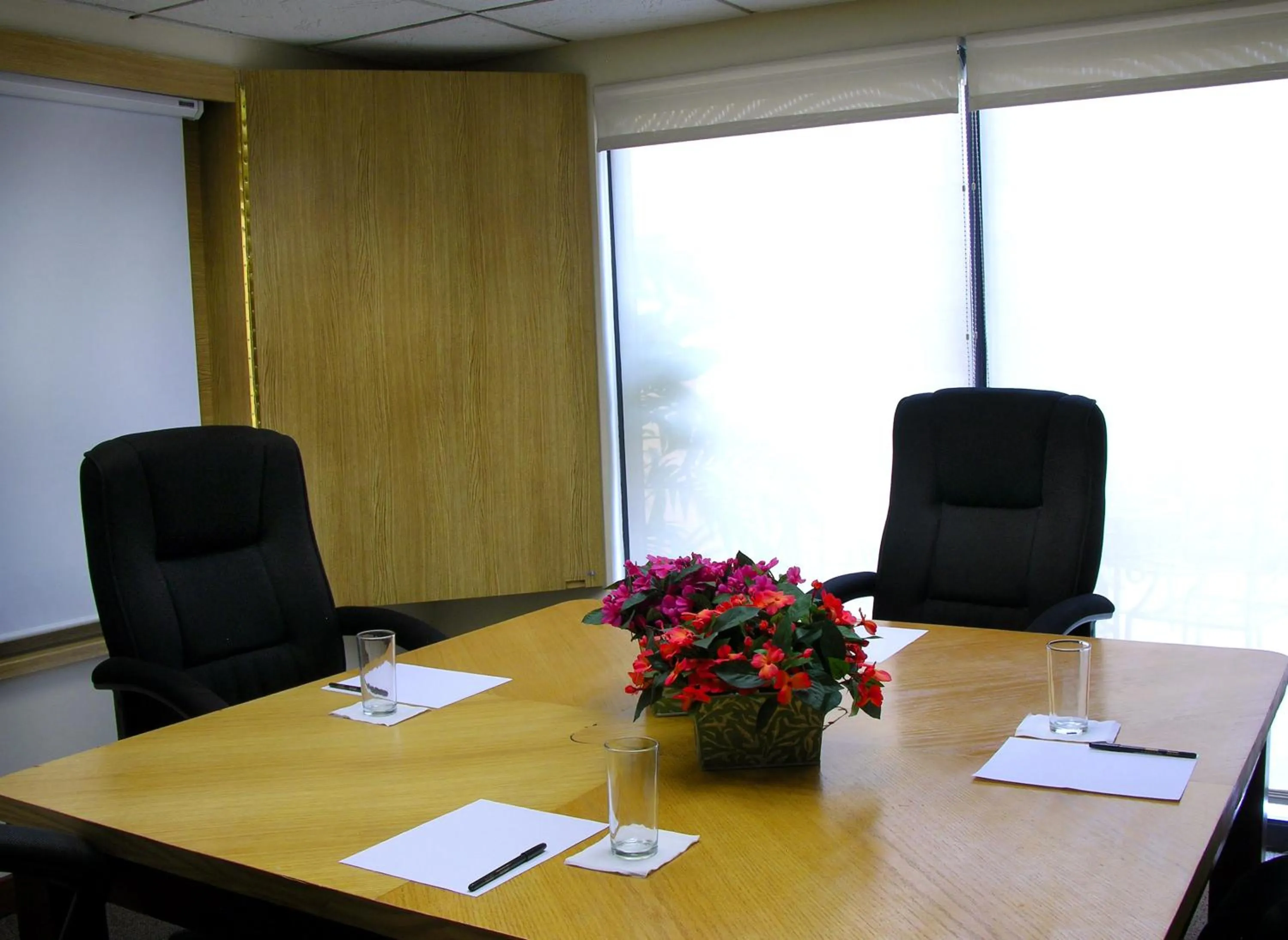Meeting/conference room in Hotel Terranova