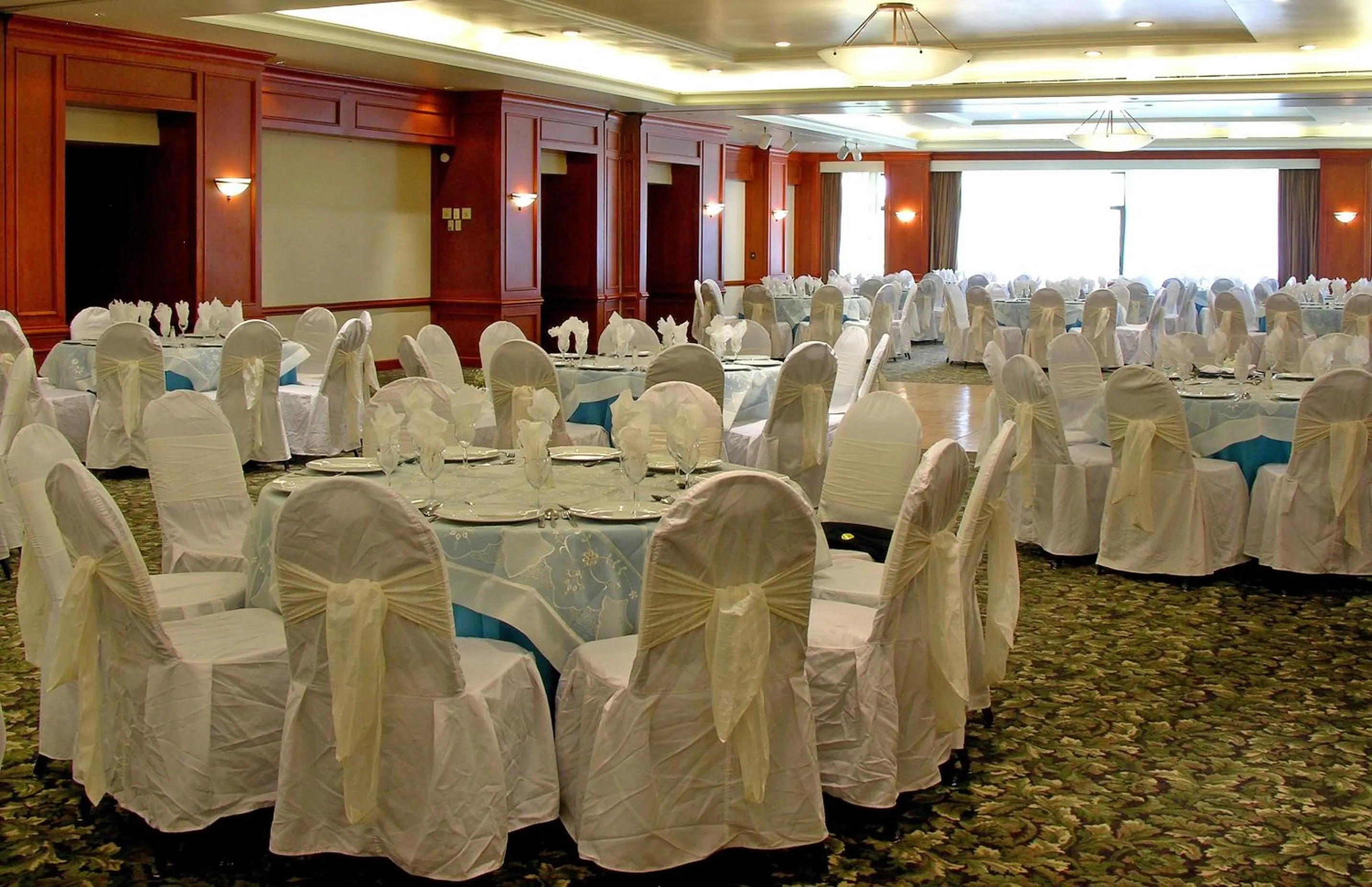 Banquet/Function facilities in Hotel Terranova