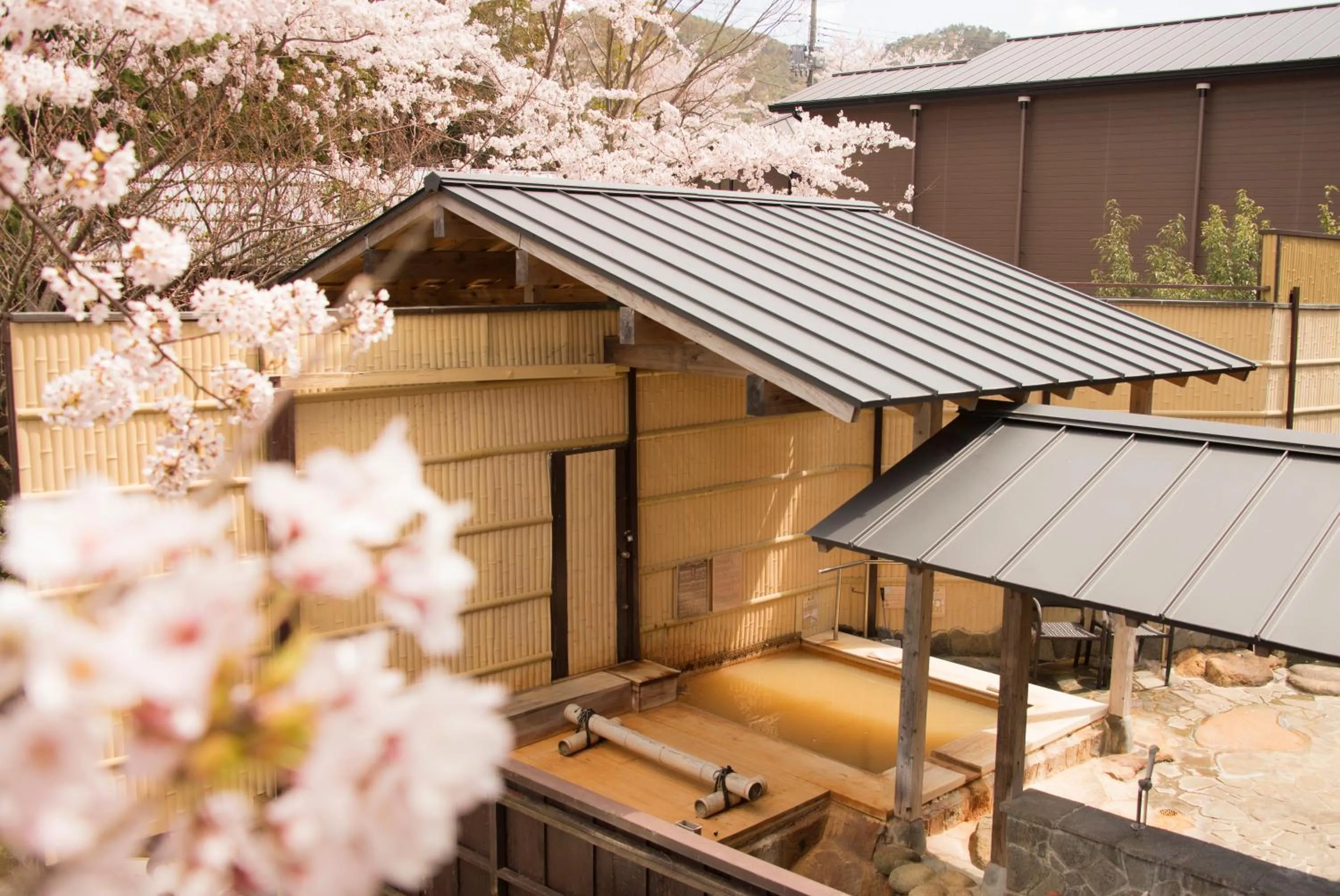 Hot Spring Bath in Arima Onsen Motoyu Ryuusenkaku