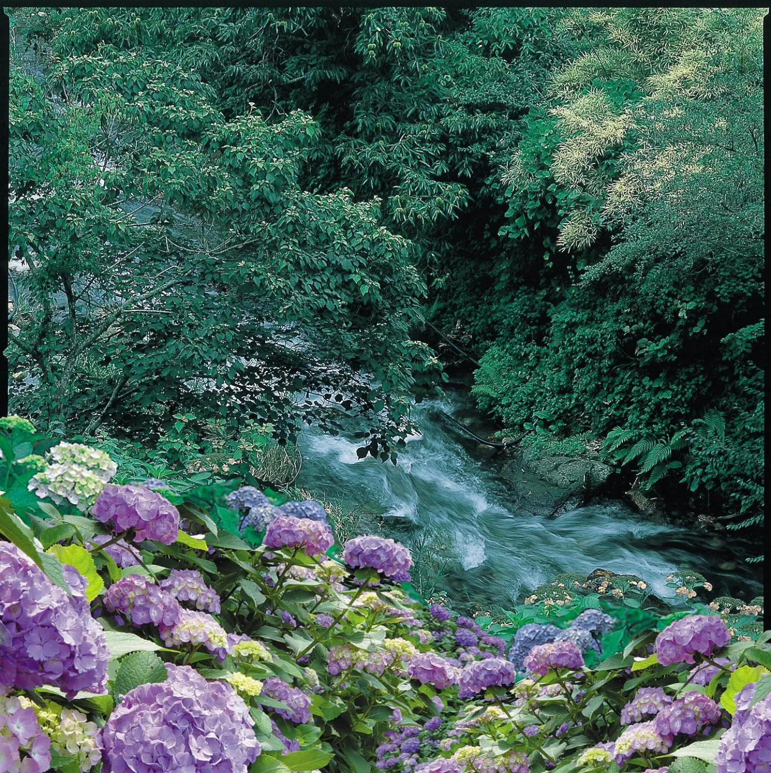 Off site in Shinshiyo