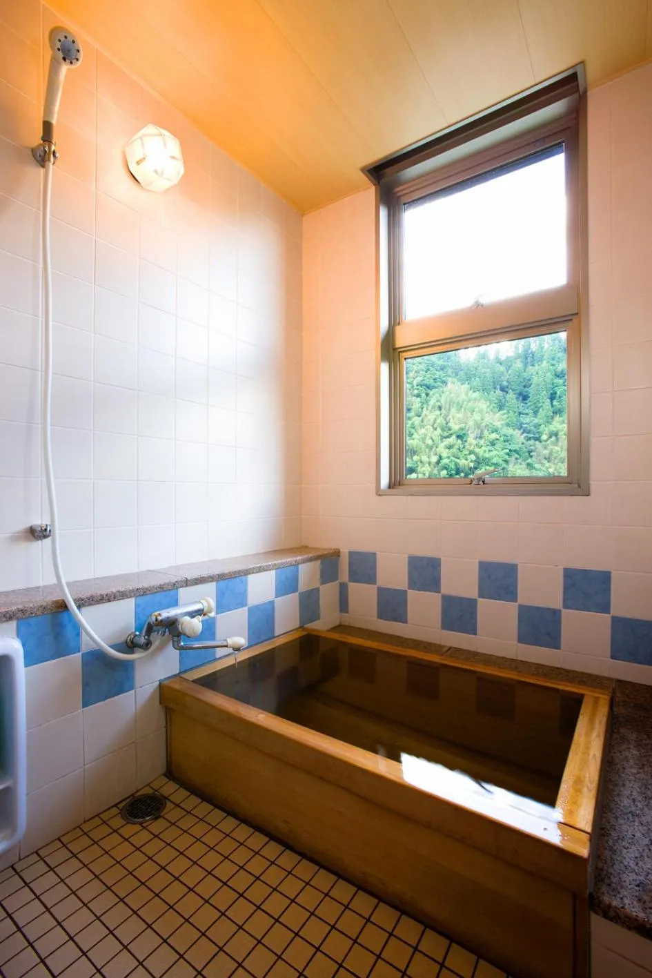 Hot Spring Bath in Shinshiyo