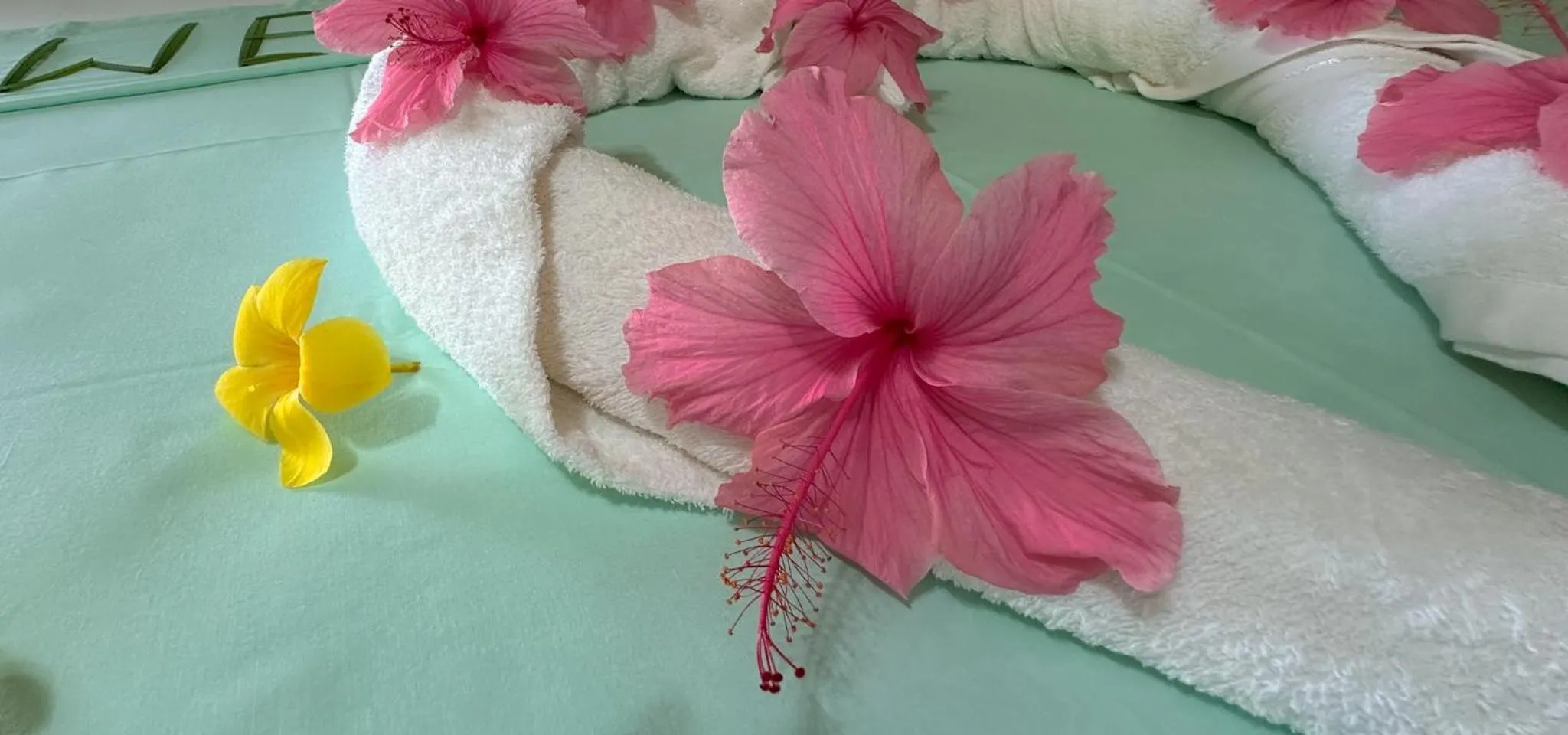 Bed in Villa Hortensia