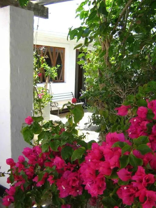 Alternative Space B & B