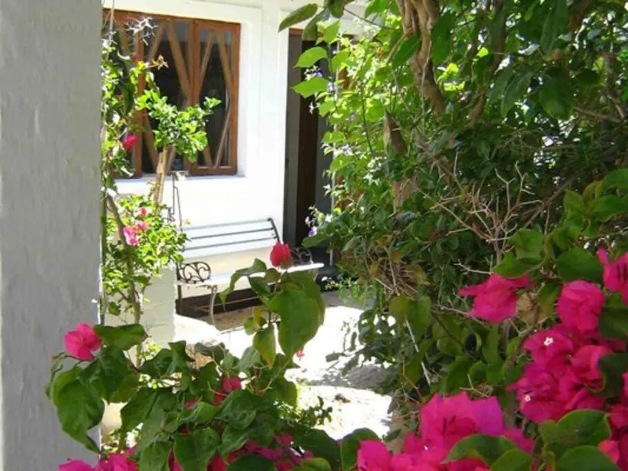 Alternative Space B & B