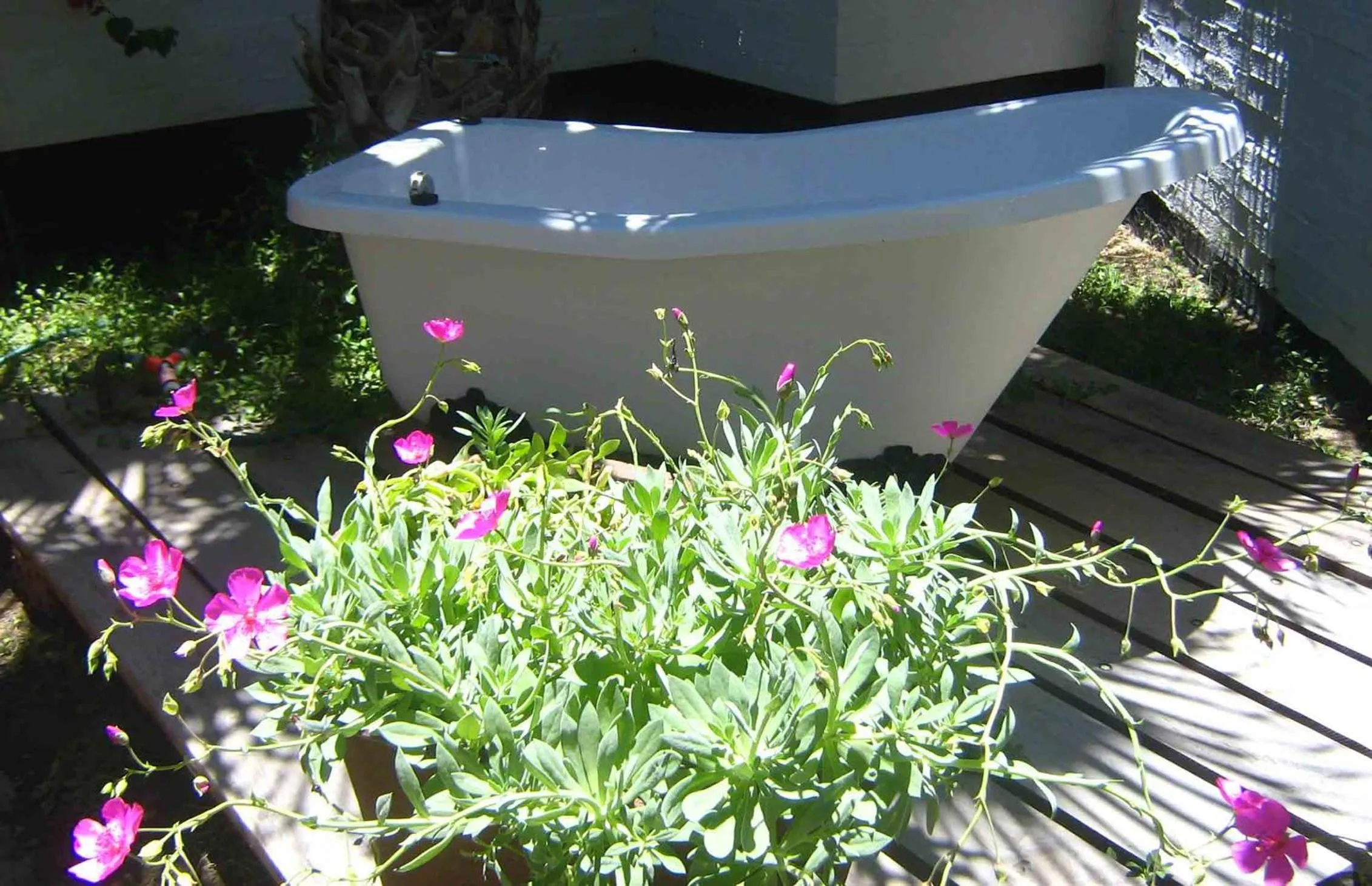 Alternative Space B & B