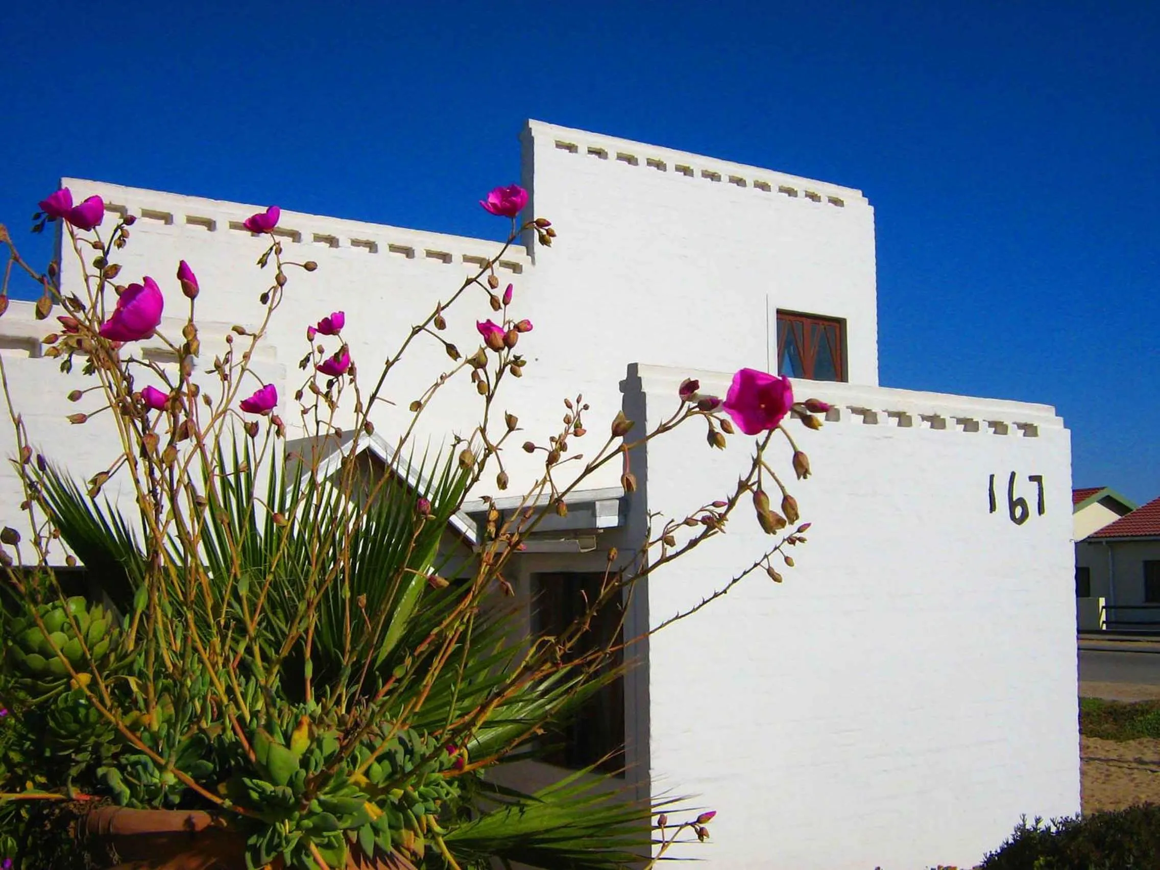 Alternative Space B & B