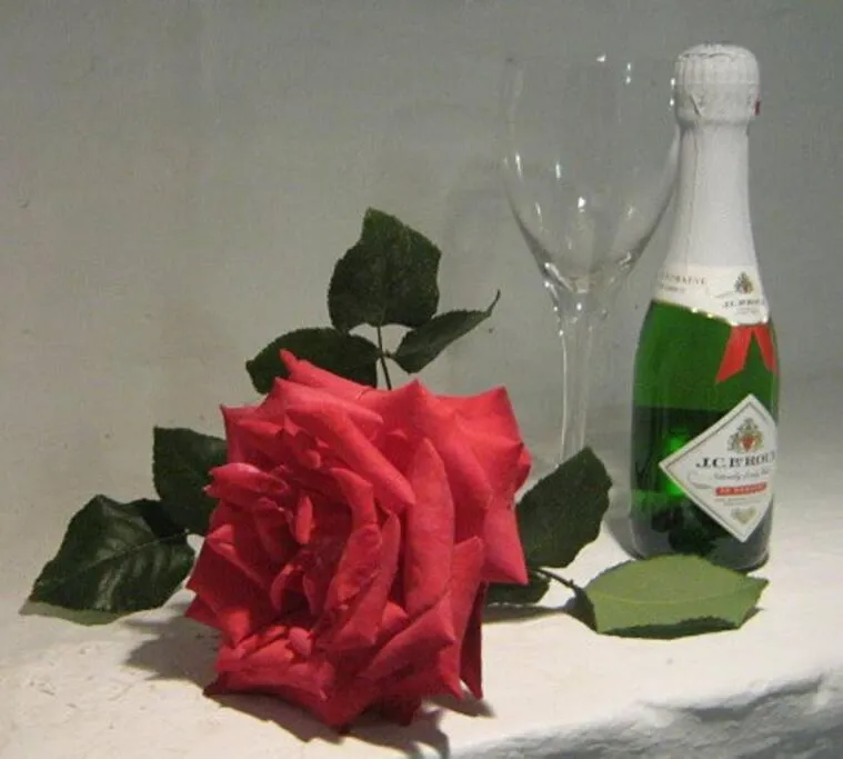 Alternative Space B & B