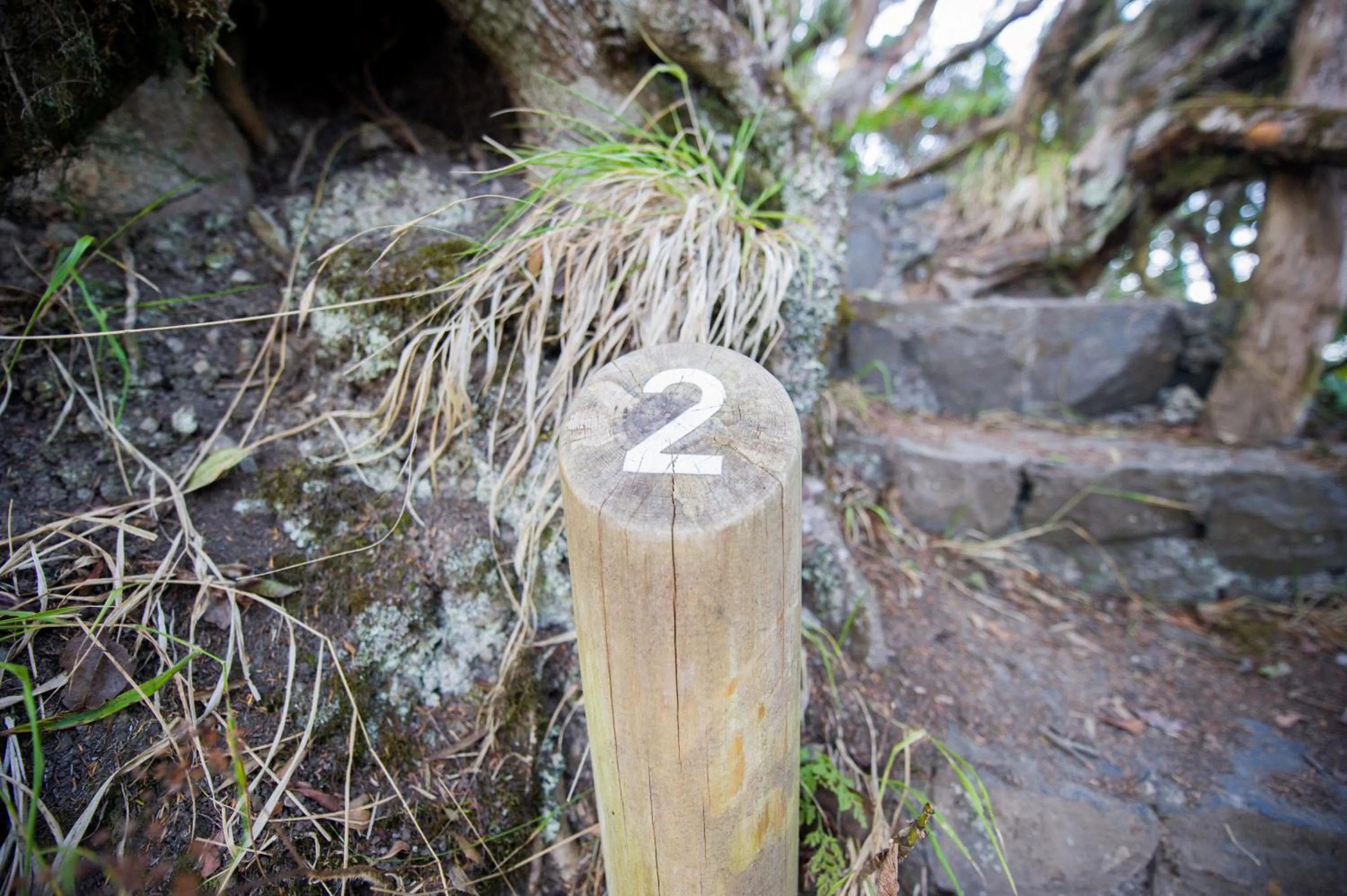 Hiking in Suites Los Telares - Adults Recommended