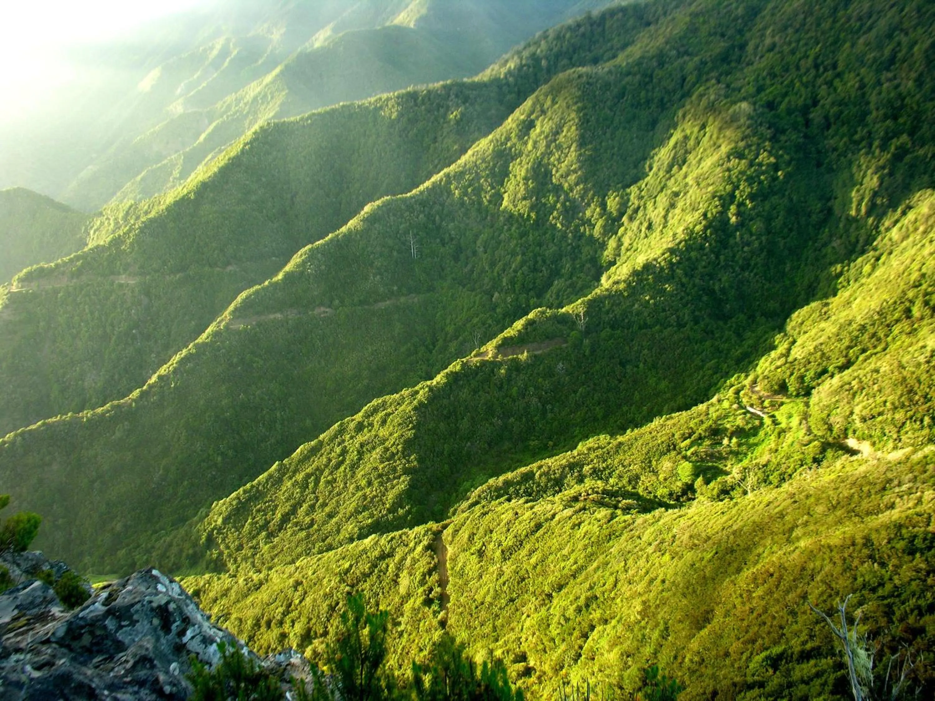 Nearby landmark in Suites Los Telares - Adults Recommended