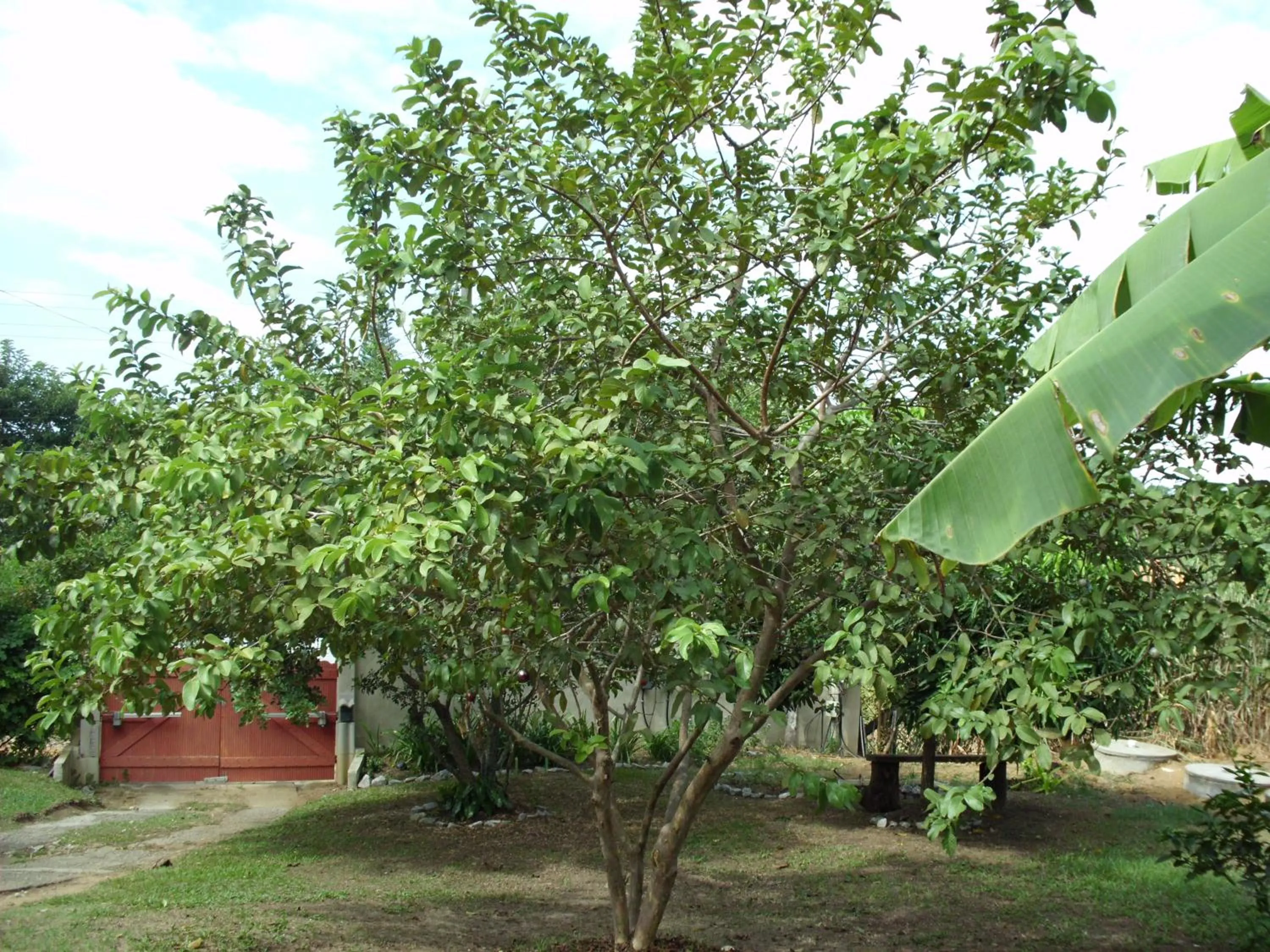 Pousada Pimenta Rosa