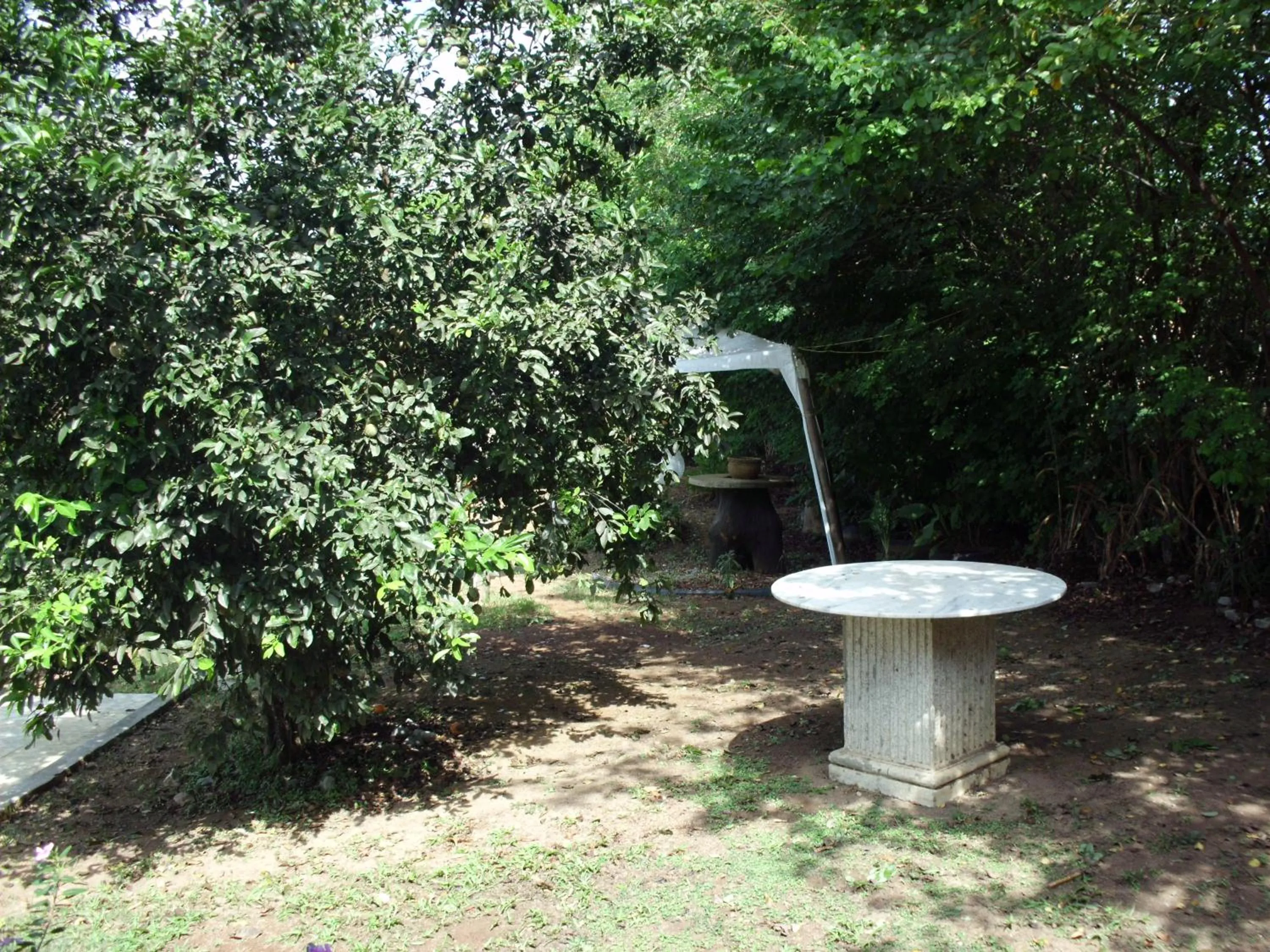 Garden in Pousada Pimenta Rosa