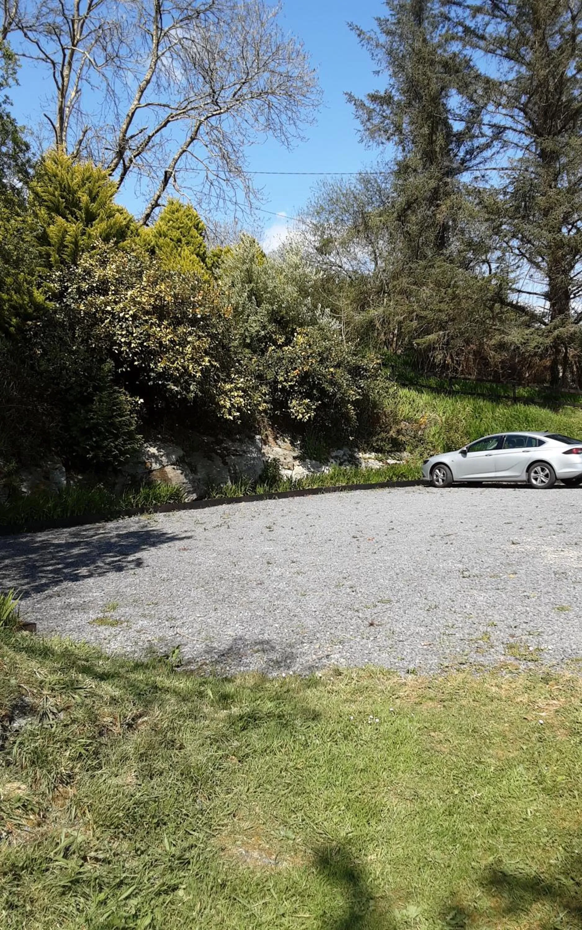 Garden in Sea Lodge B&B