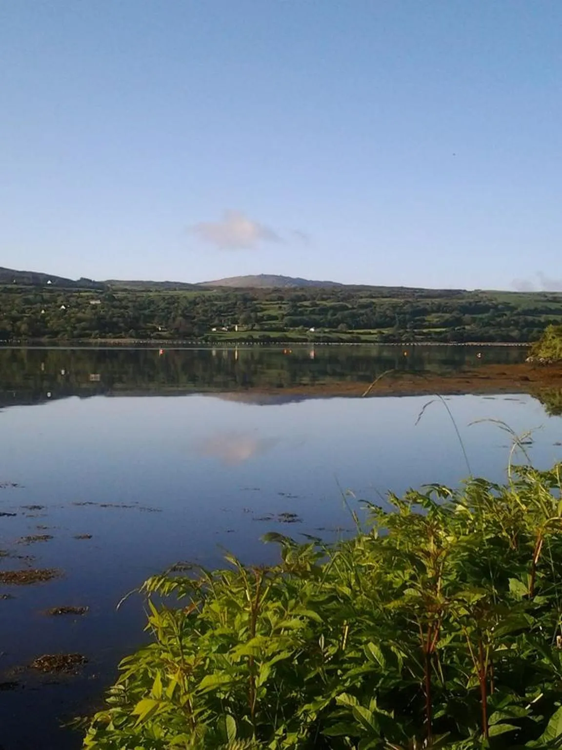 Natural landscape in Sea Lodge B&B