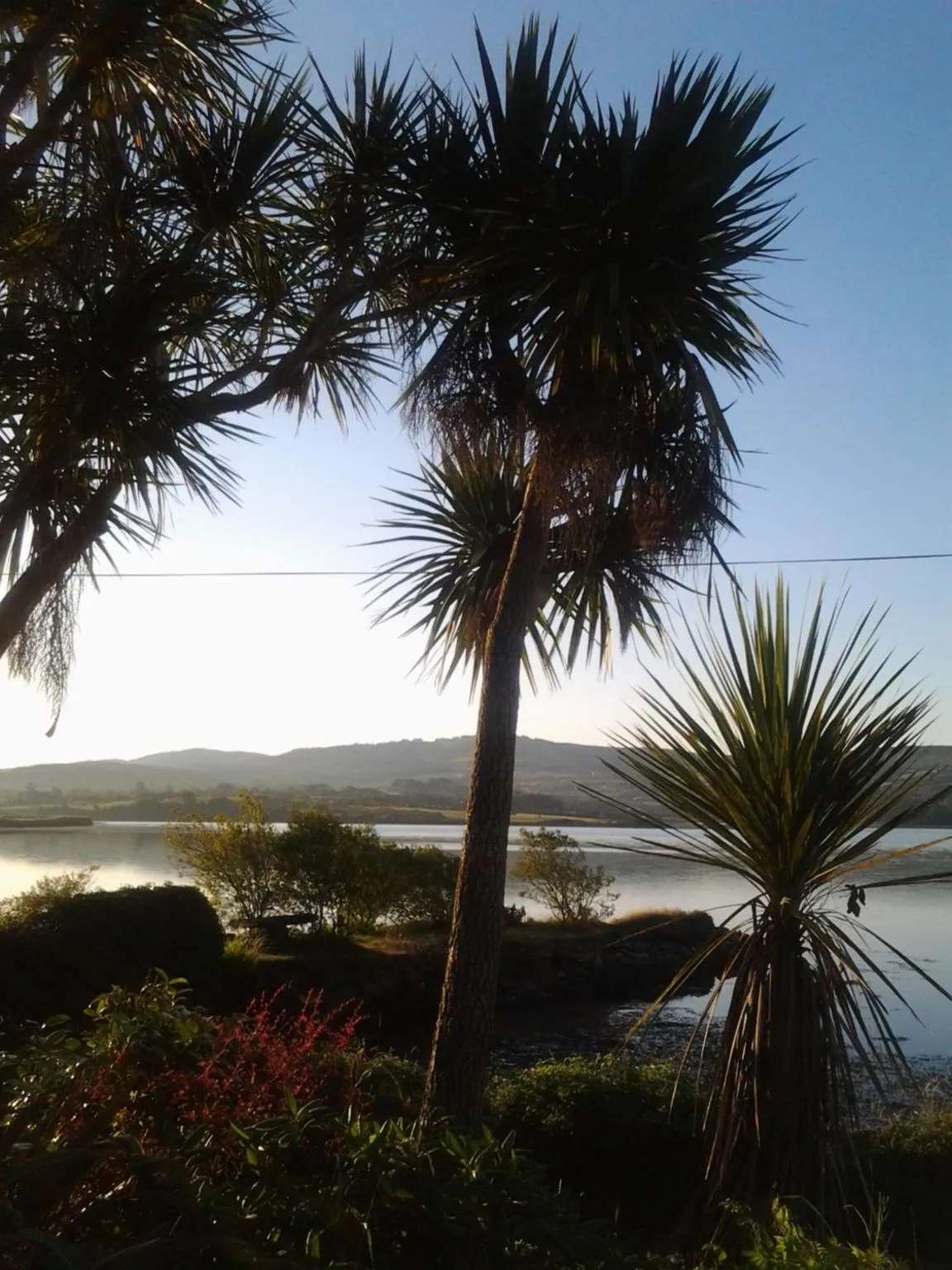 Area and facilities in Sea Lodge B&B