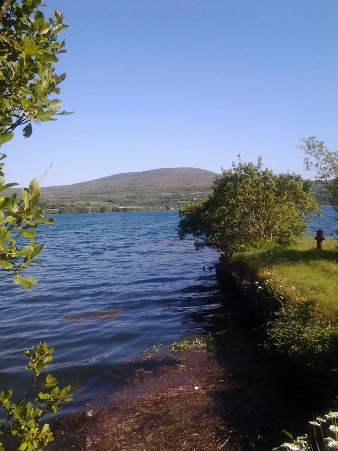 Natural landscape in Sea Lodge B&B