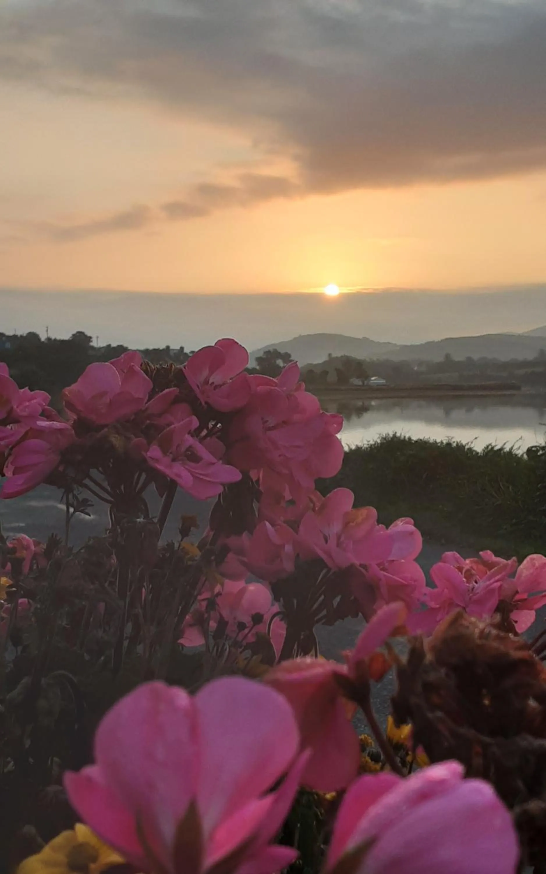 Sunrise in Sea Lodge B&B