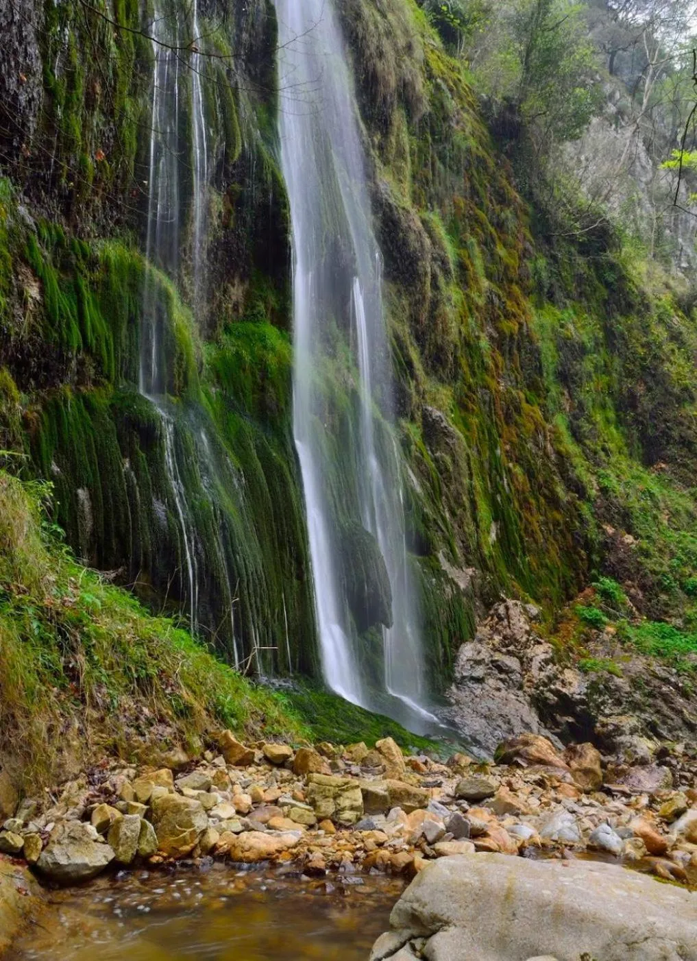 Natural landscape in Apartamentos El Caxigu