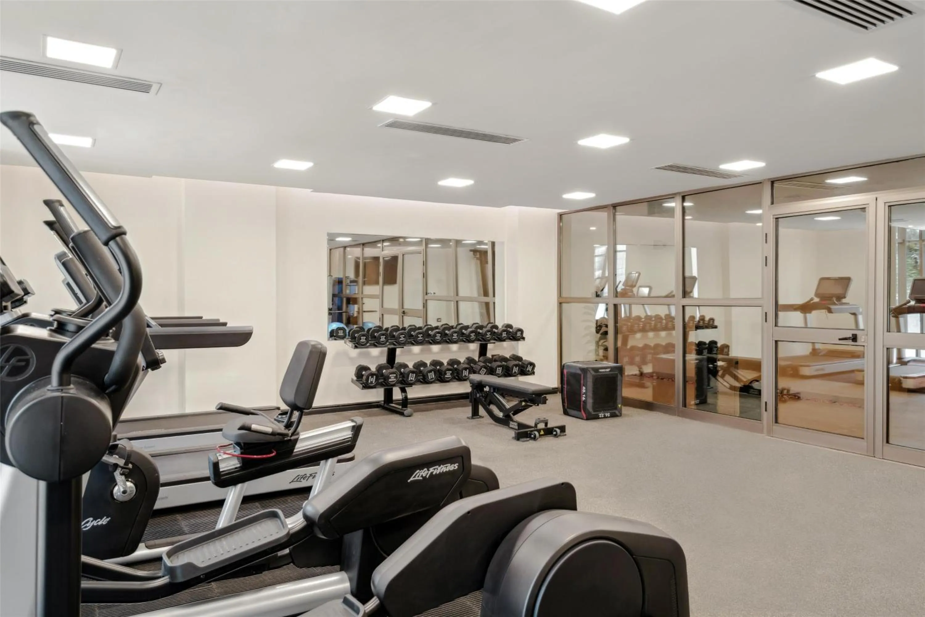 Fitness centre/facilities in Doubletree By Hilton Addis Ababa Airport