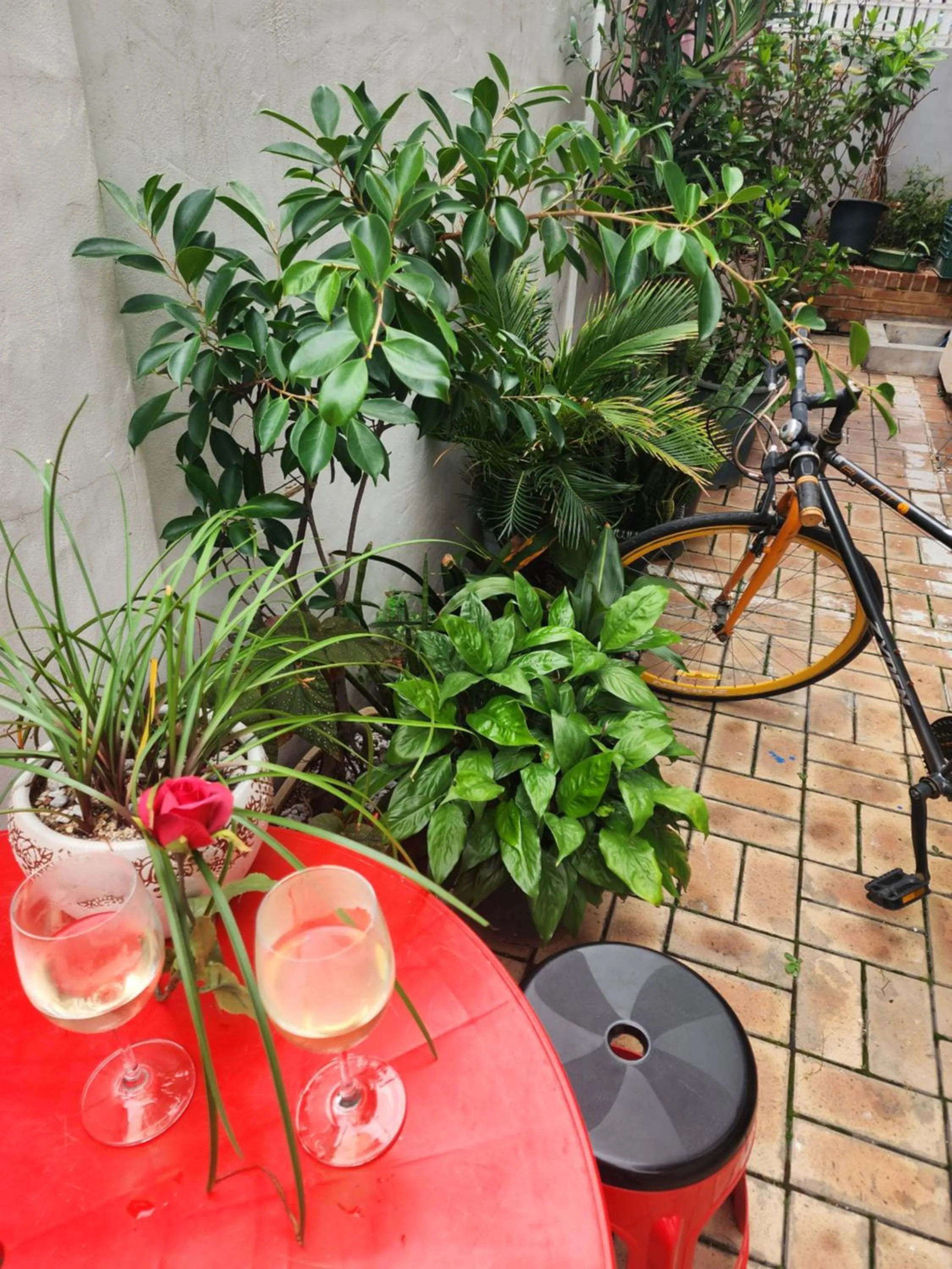 Disco PangPang GuestHouse 외국인전용