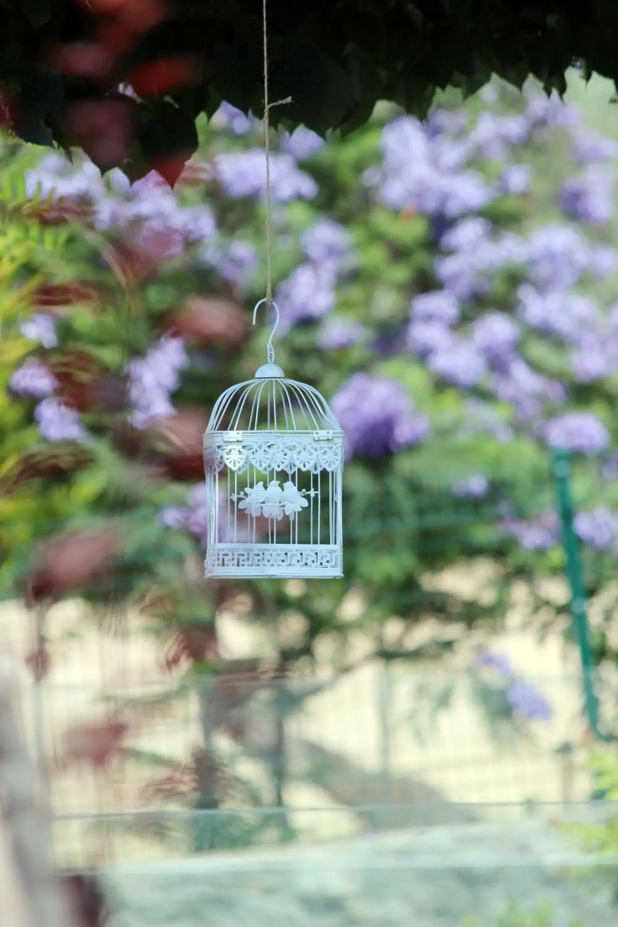 Garden view in Dibek Homes Villa & Hotel Garden view in Dibek Homes Villa & Hotel