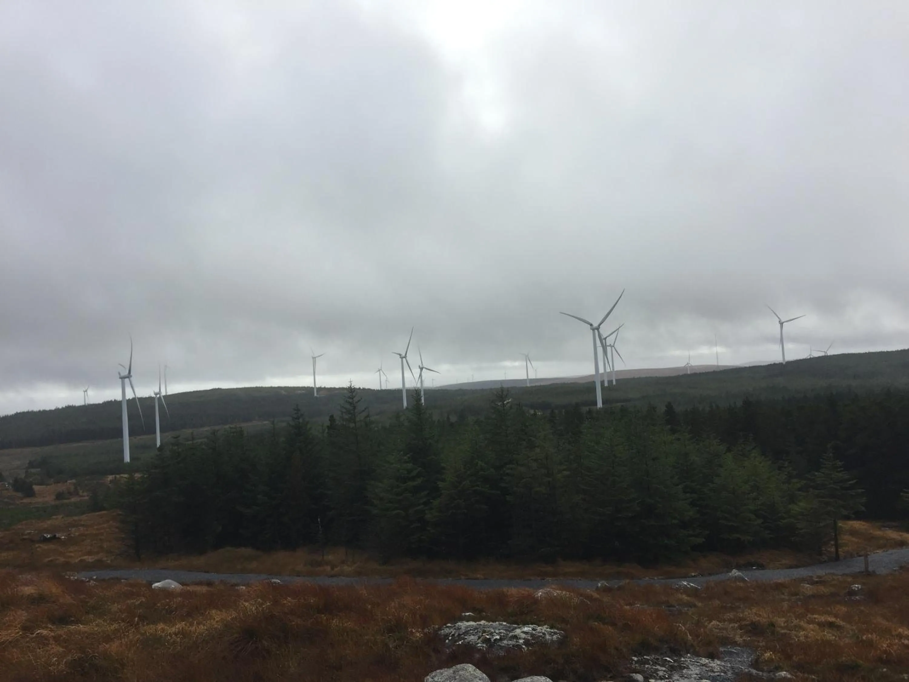 View (from property/room) in Carrowntober House B & B