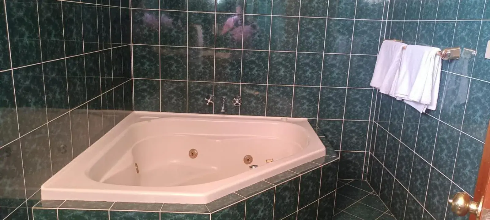 Twin Room with Bath in Nandewar Motor Inn Twin Room with Bath in Nandewar Motor Inn