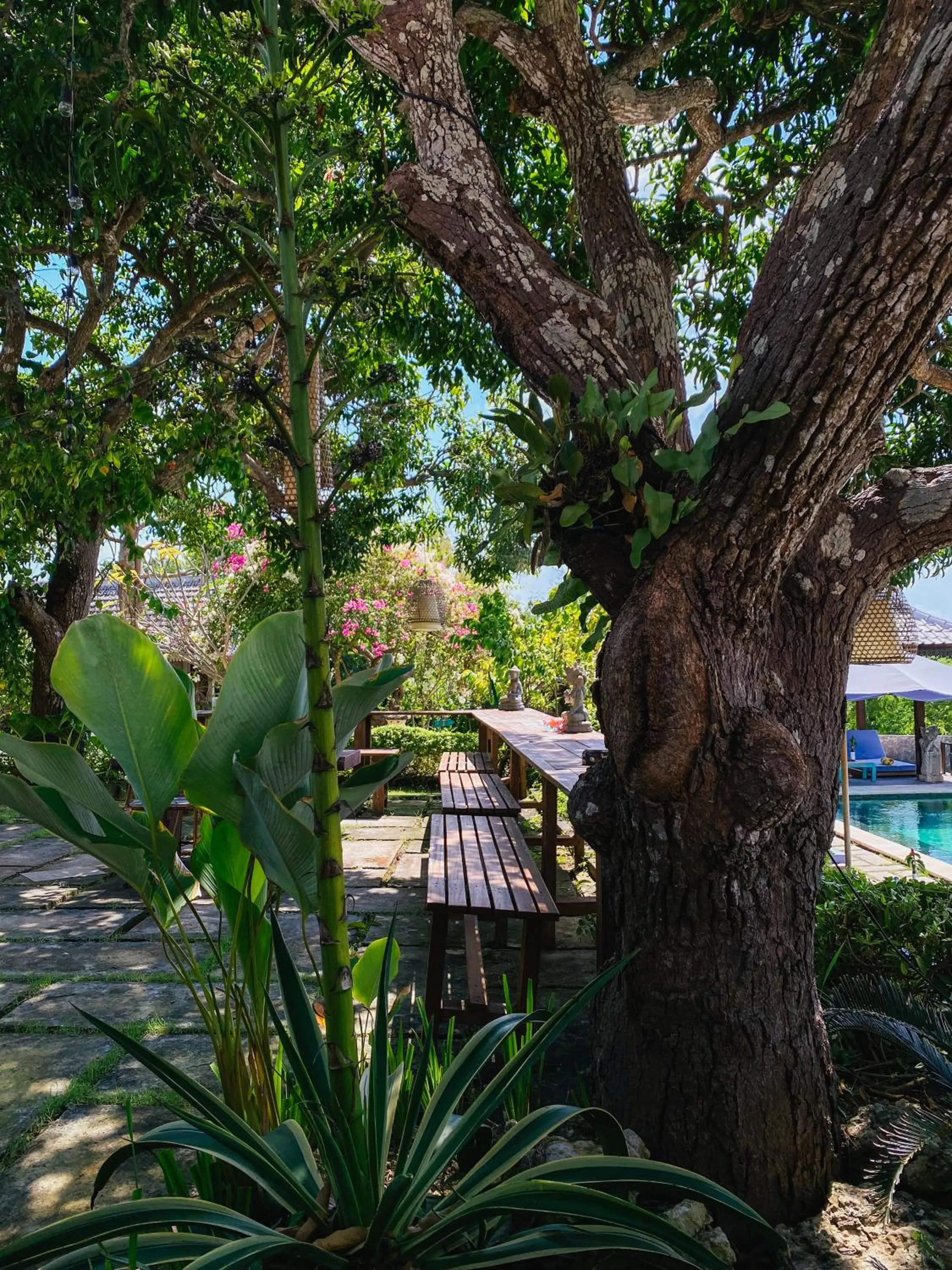 Garden view in Villa Olala Penida