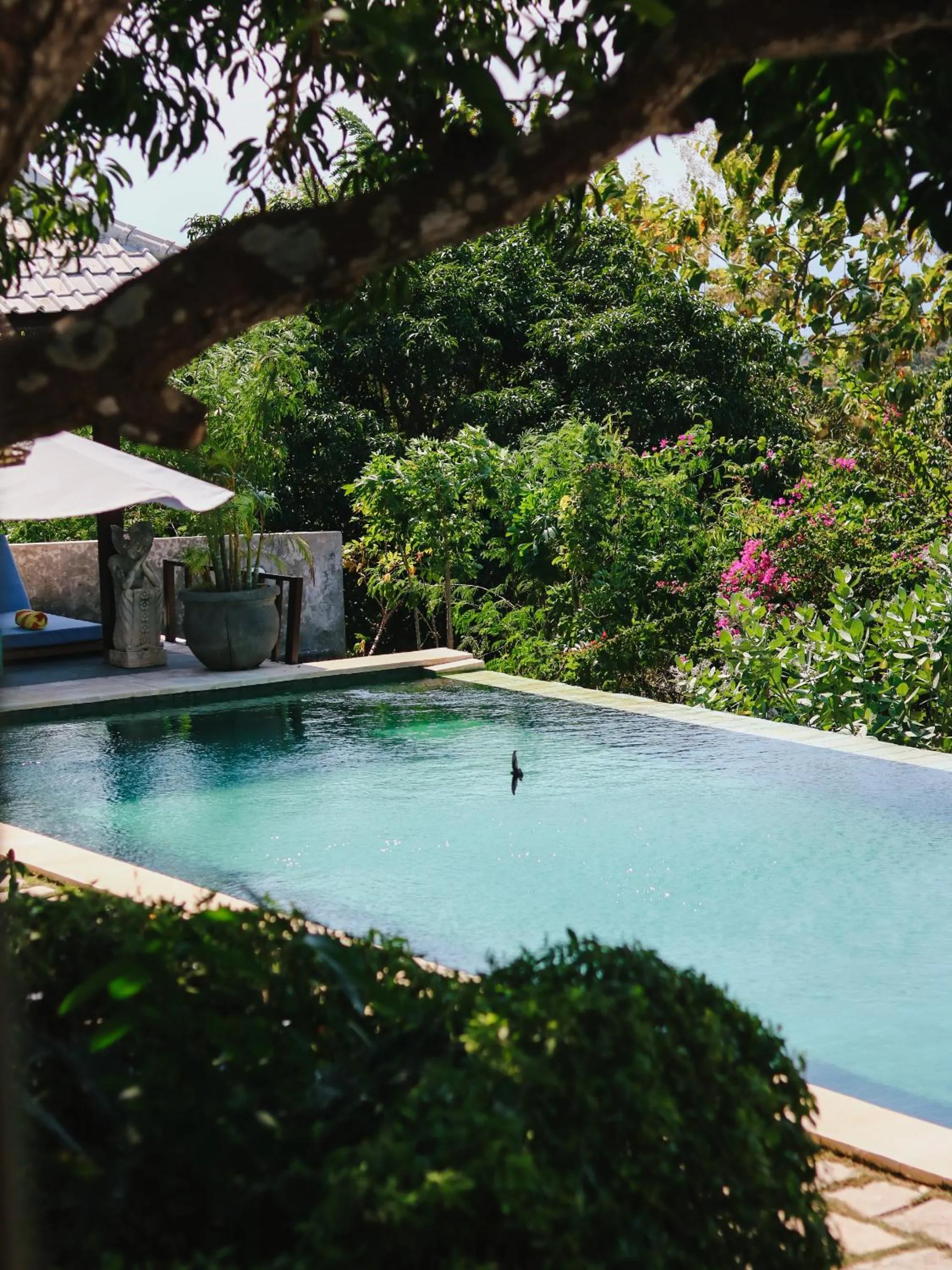 Swimming pool in Villa Olala Penida