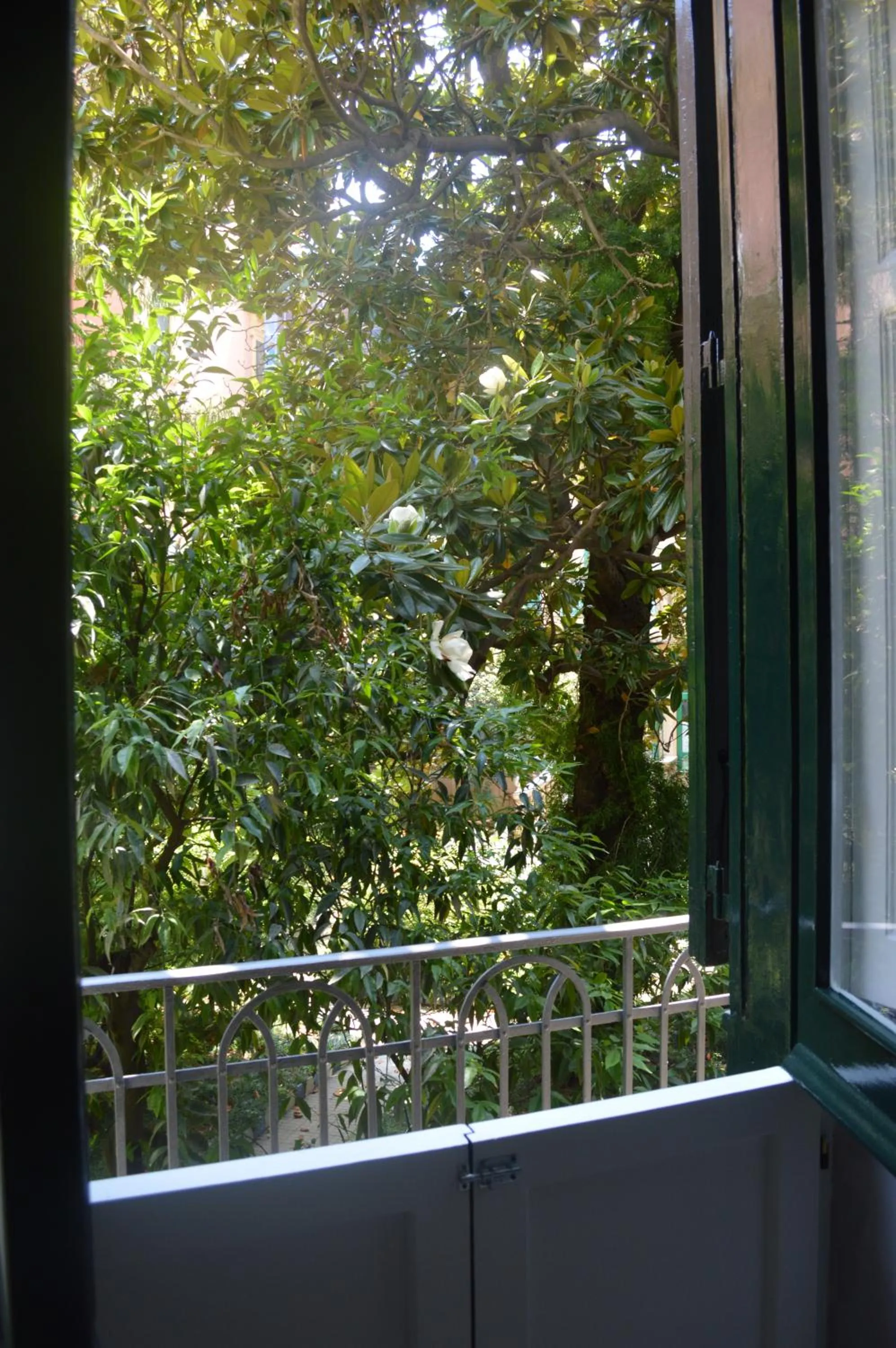 Garden view in Petros rooms&apartments