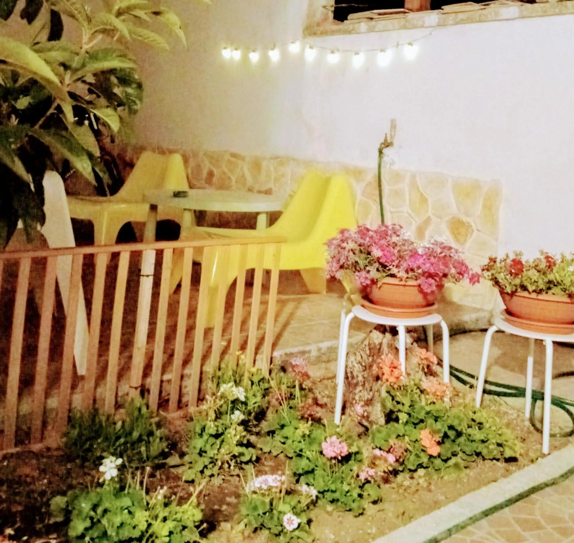 B&B Fenice Barocca
