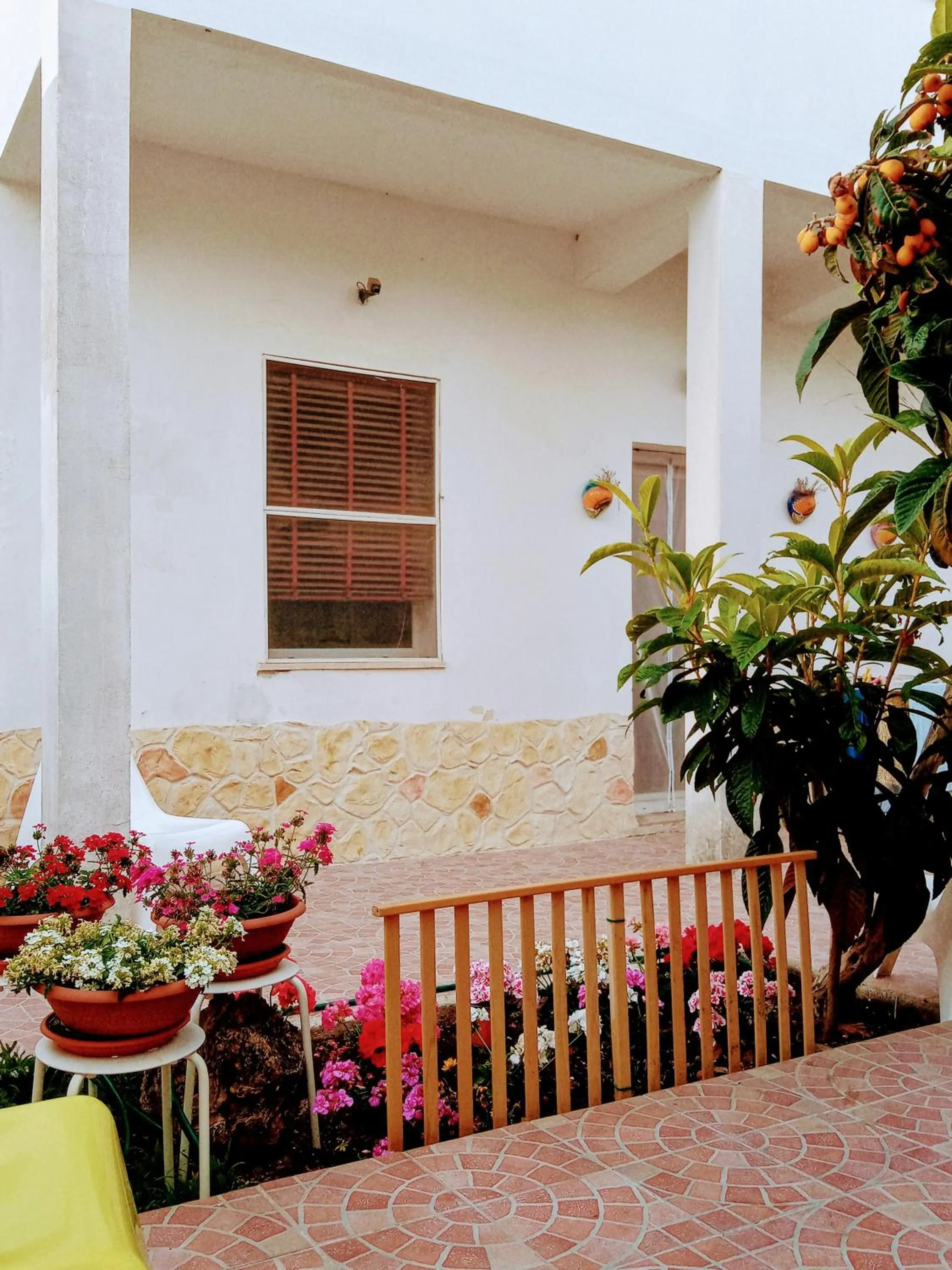 B&B Fenice Barocca