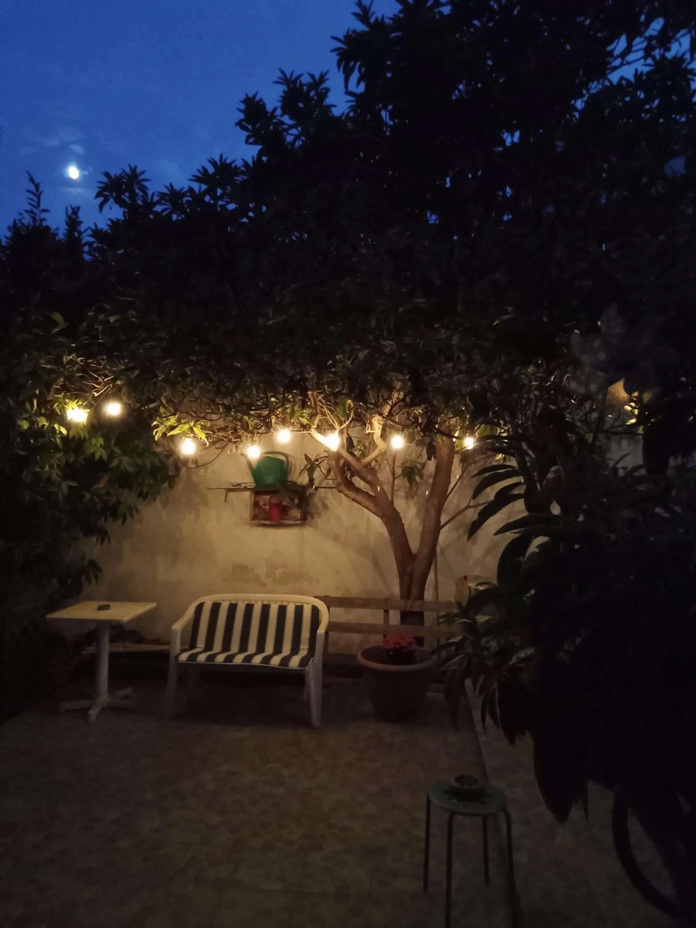 B&B Fenice Barocca