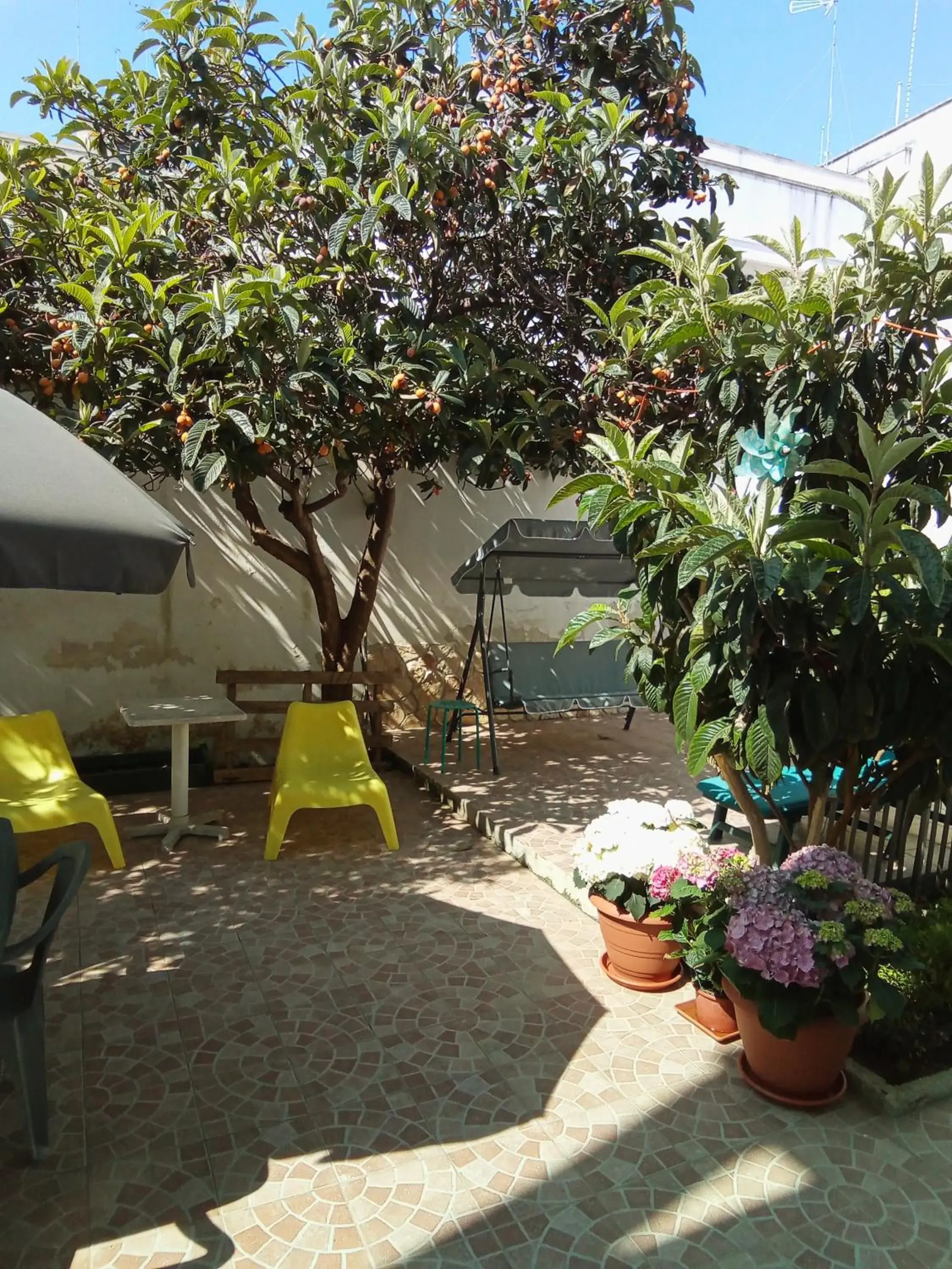 B&B Fenice Barocca B&B Fenice Barocca