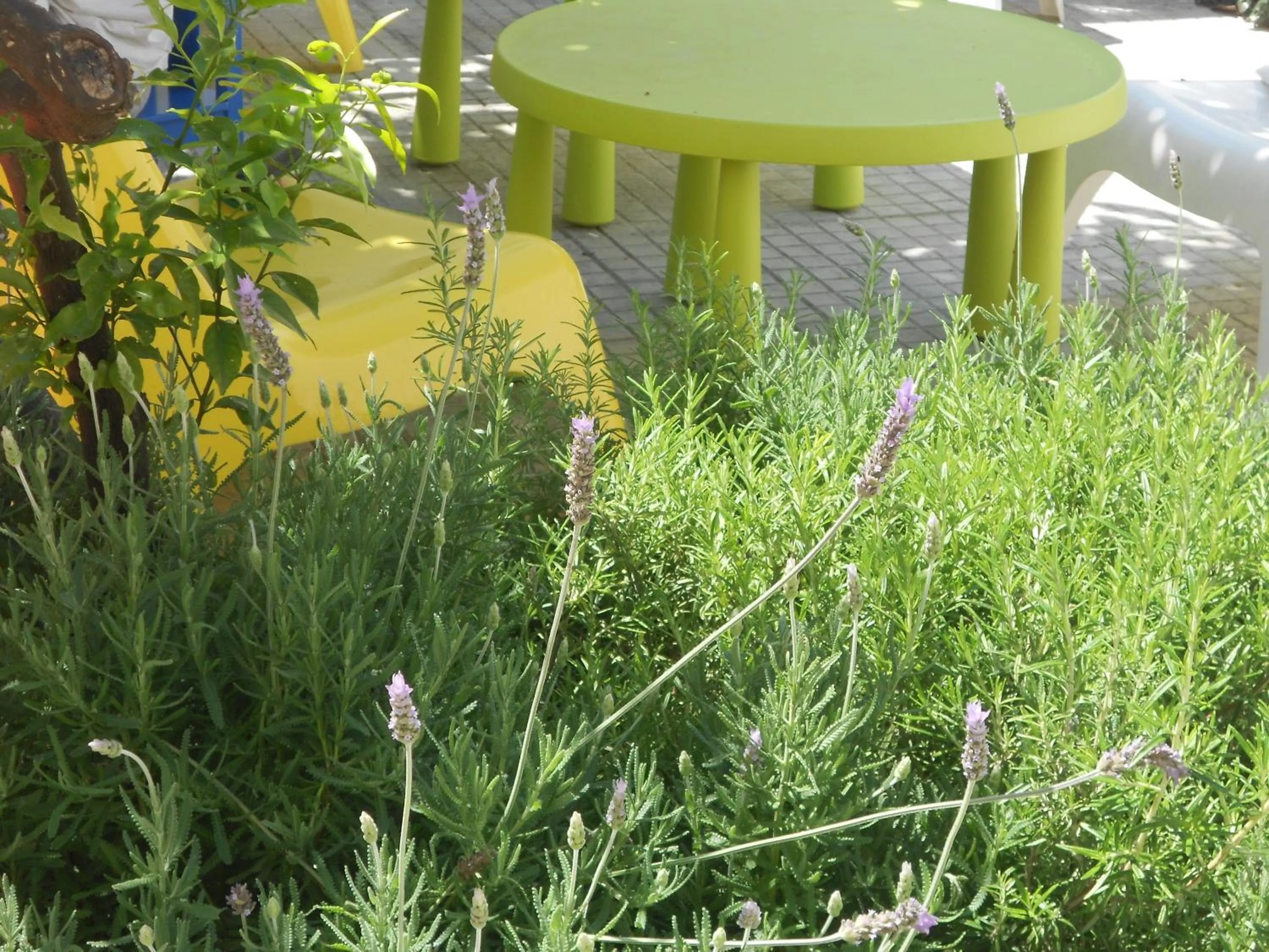 B&B Fenice Barocca
