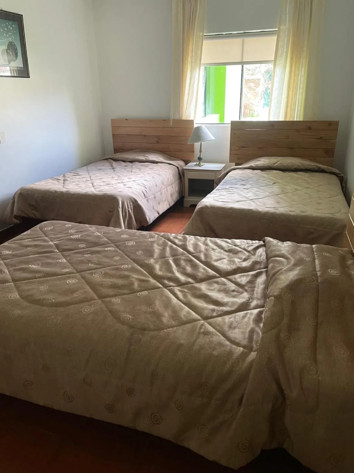 View (from property/room), Bed in Hotel COMTUCAR