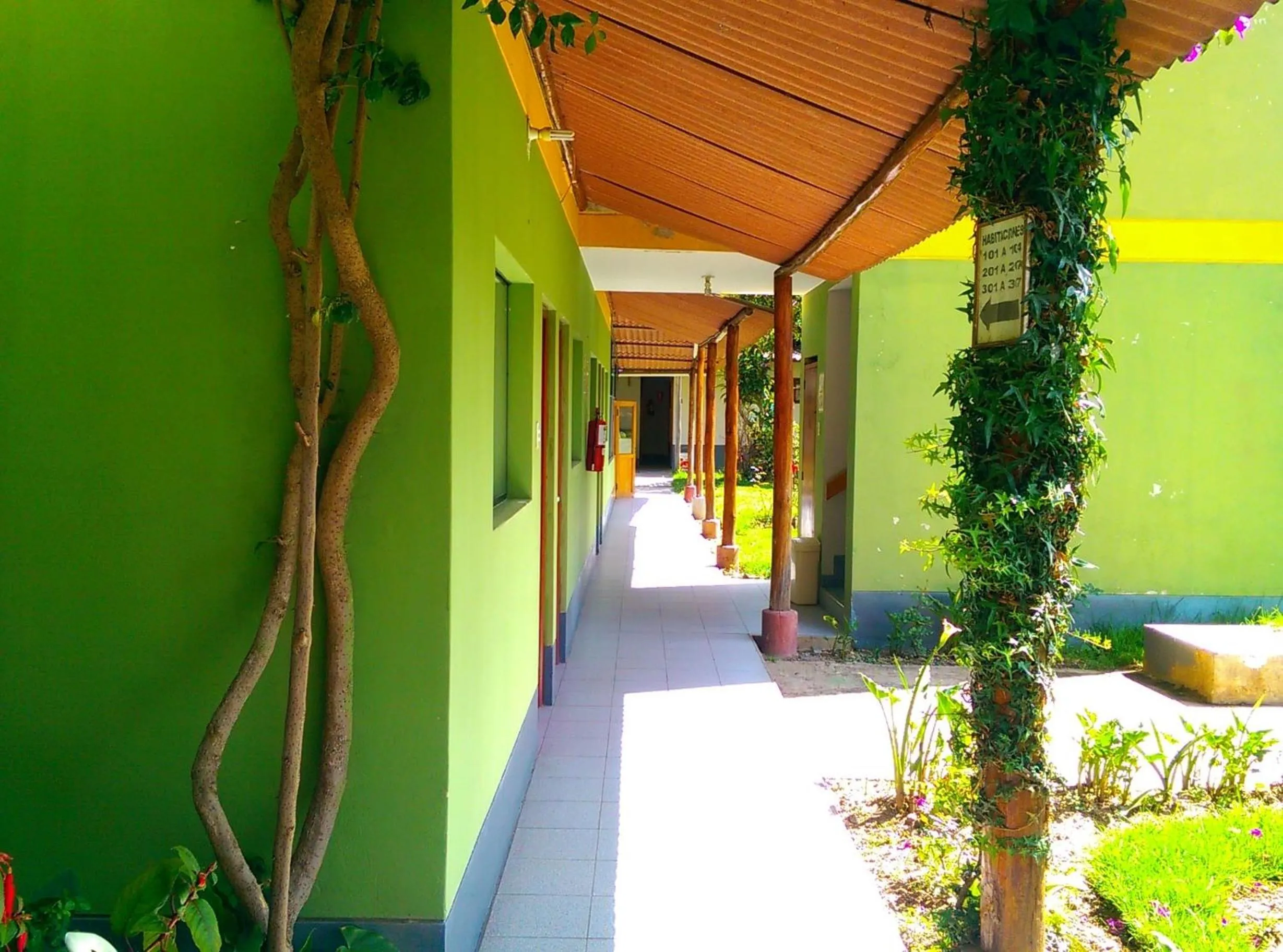 Garden view in Hotel COMTUCAR