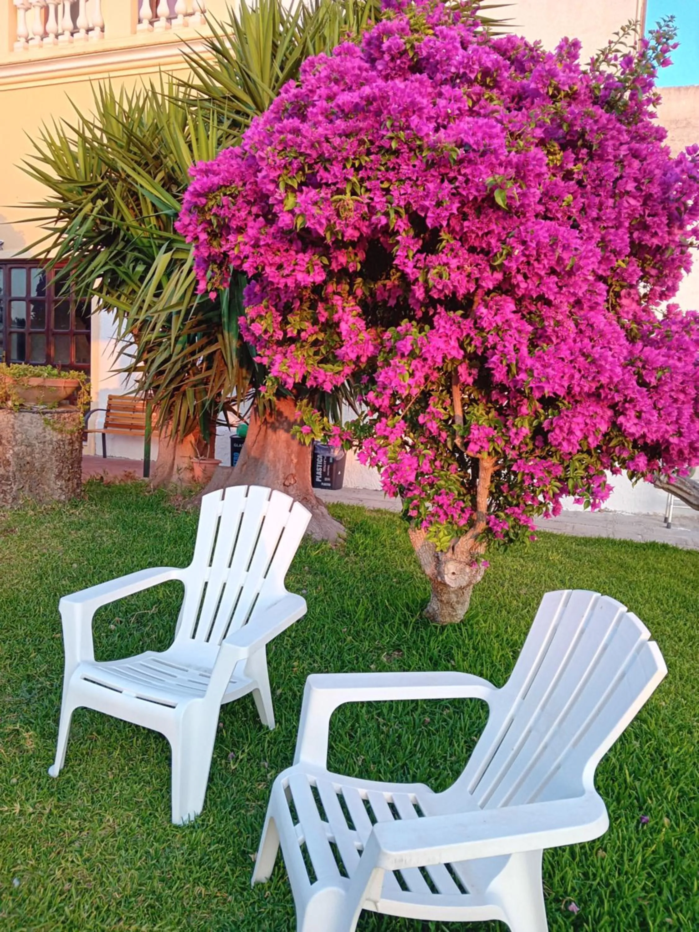 villa amodeo