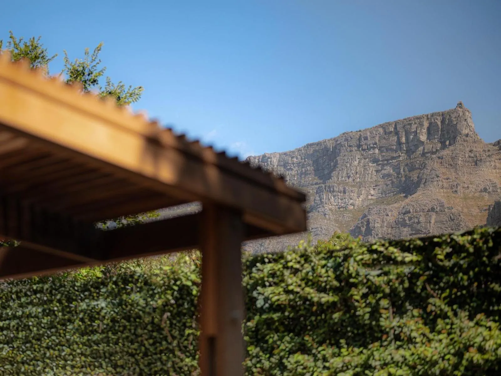 Mountain view in Botany House Boutique Retreat