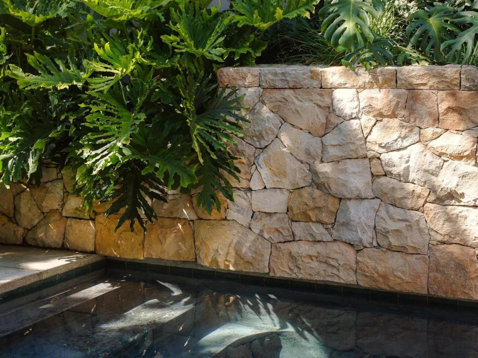 Pool view in Botany House Boutique Retreat