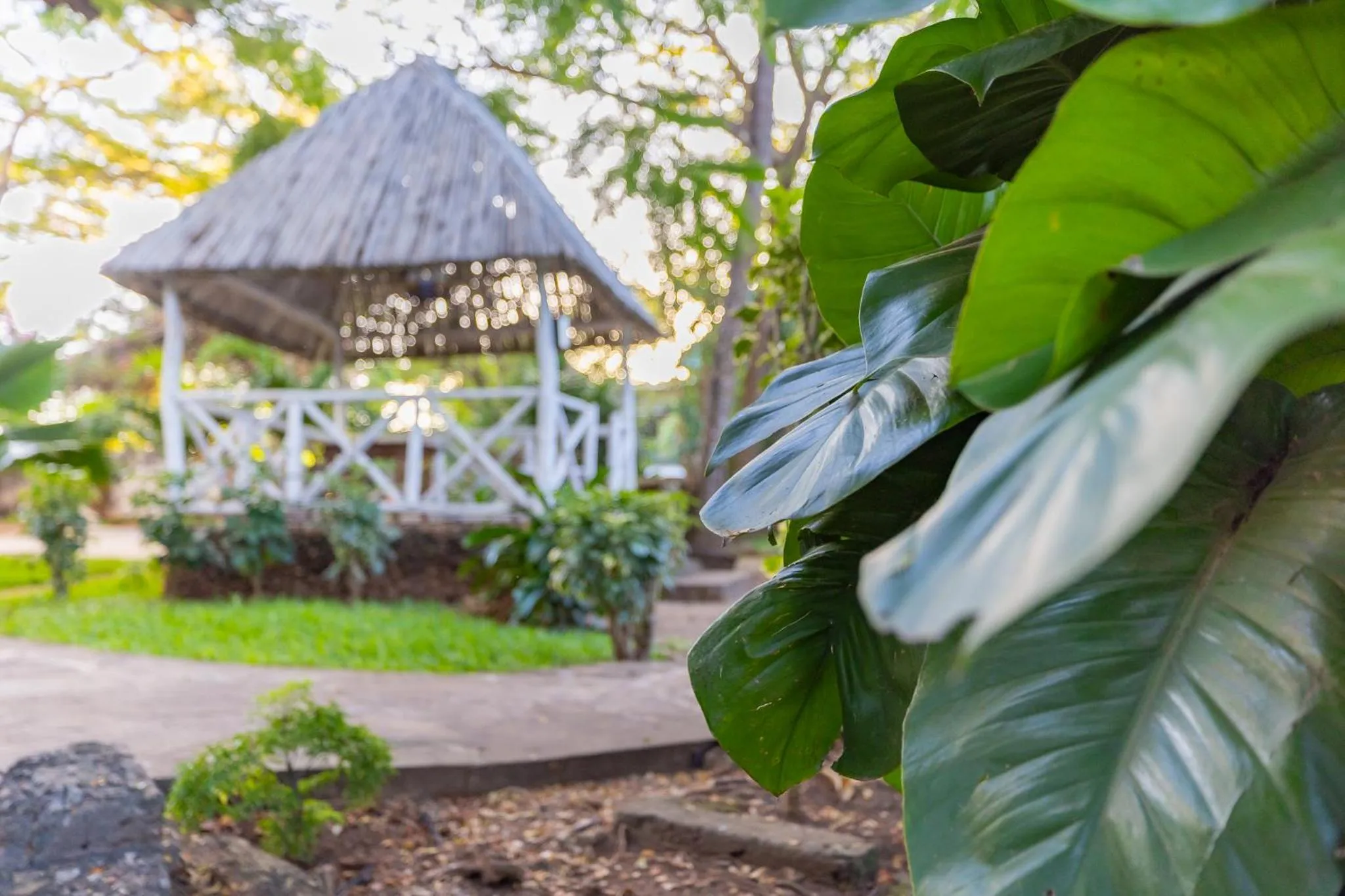 Decorative detail in Silver Rock Boutique Resort by Mokawa - Hotel & Apartments