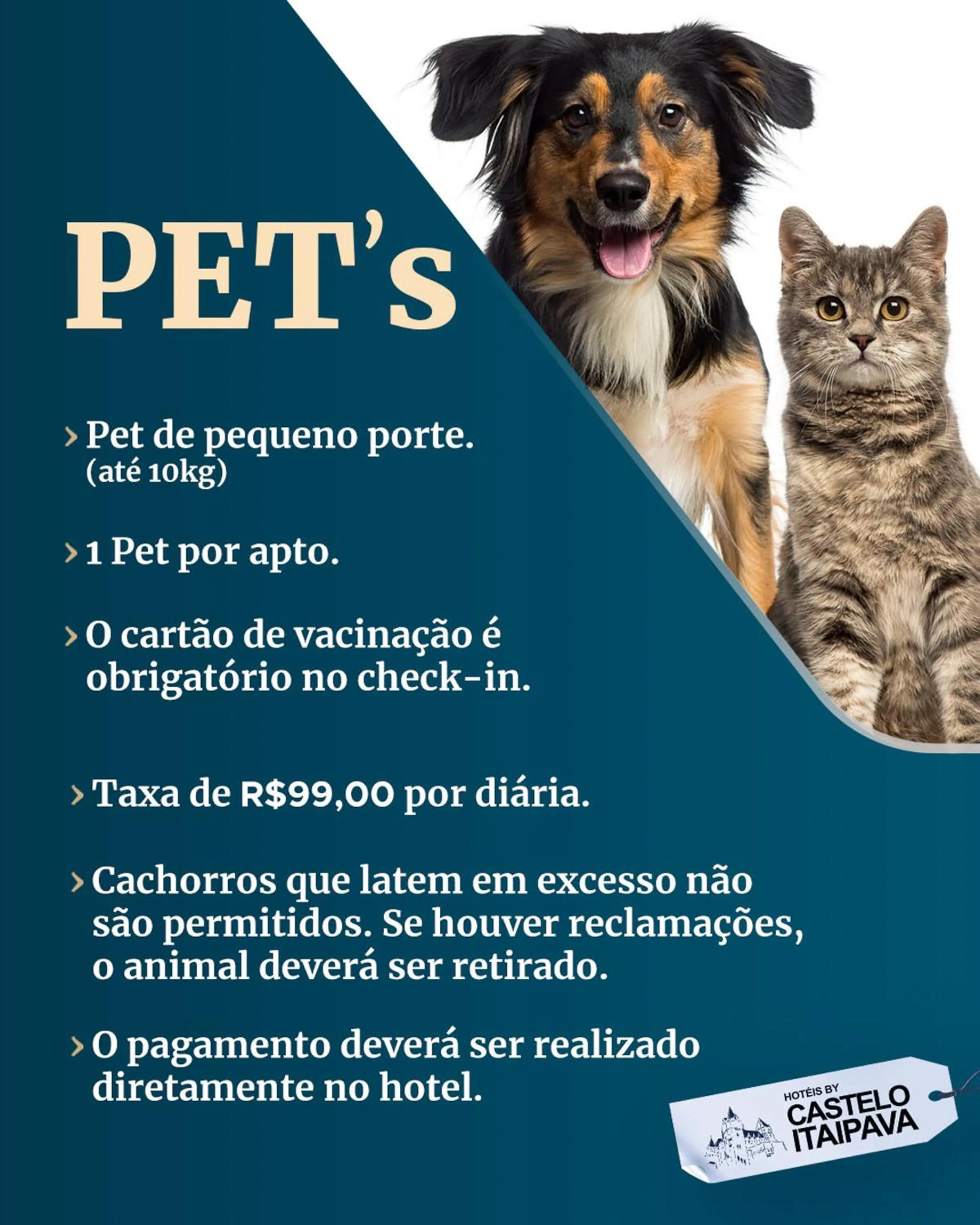 Animals in Mediterrane Hotel by Castelo Itaipava