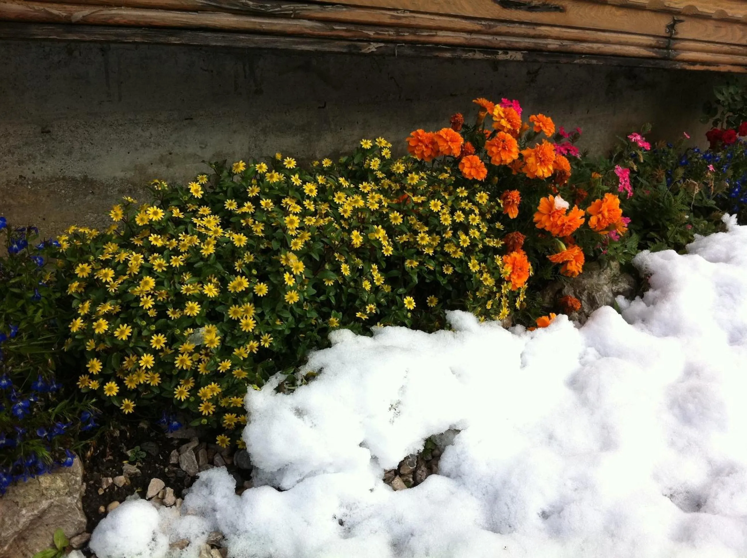 Residence Villa Toni