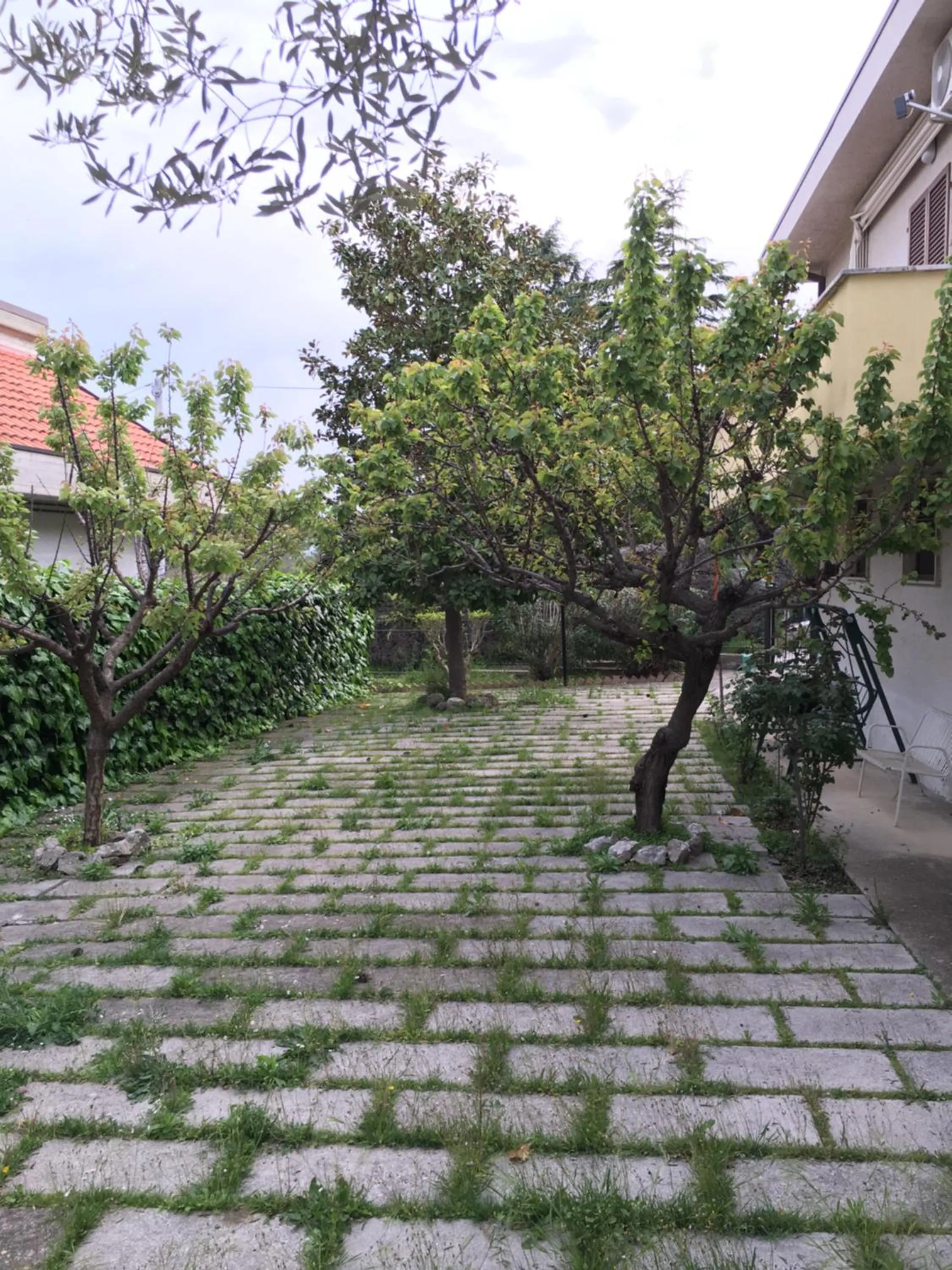 Garden in Le sorelle gemelle B&B