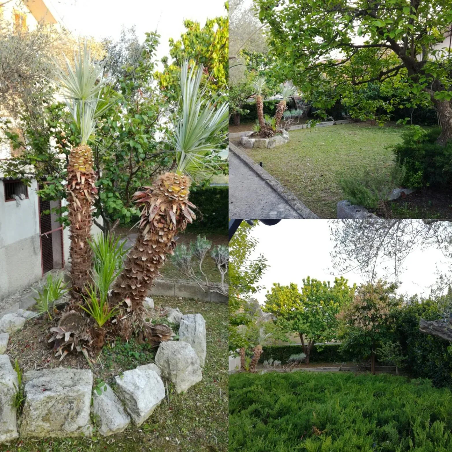 Le sorelle gemelle B&B