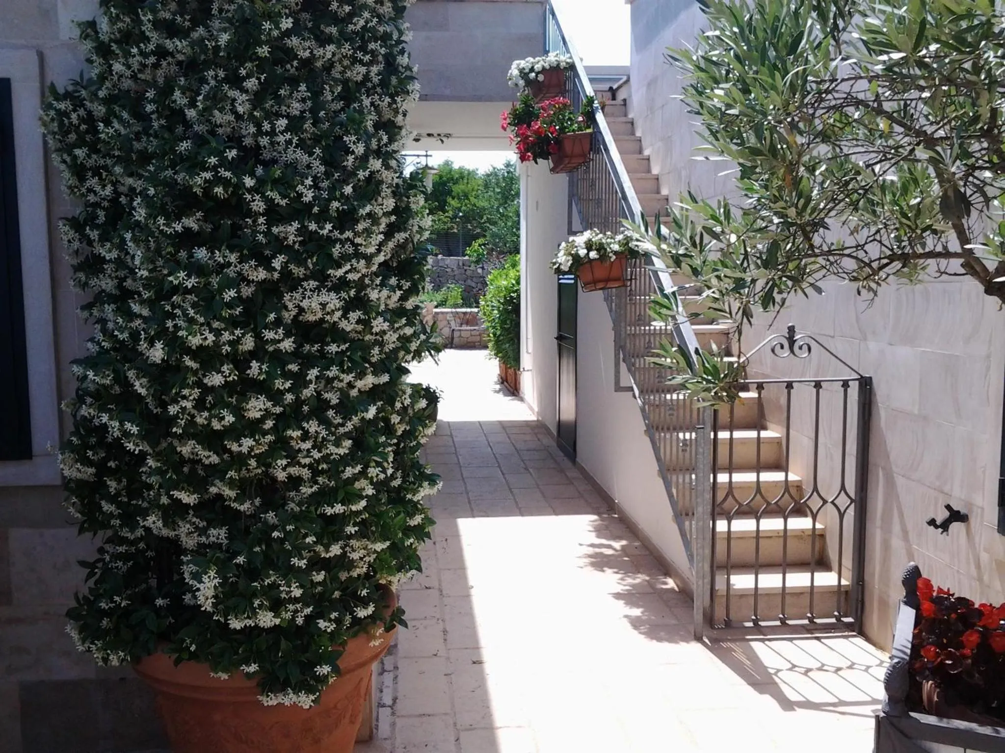 Day in Villa Caramia