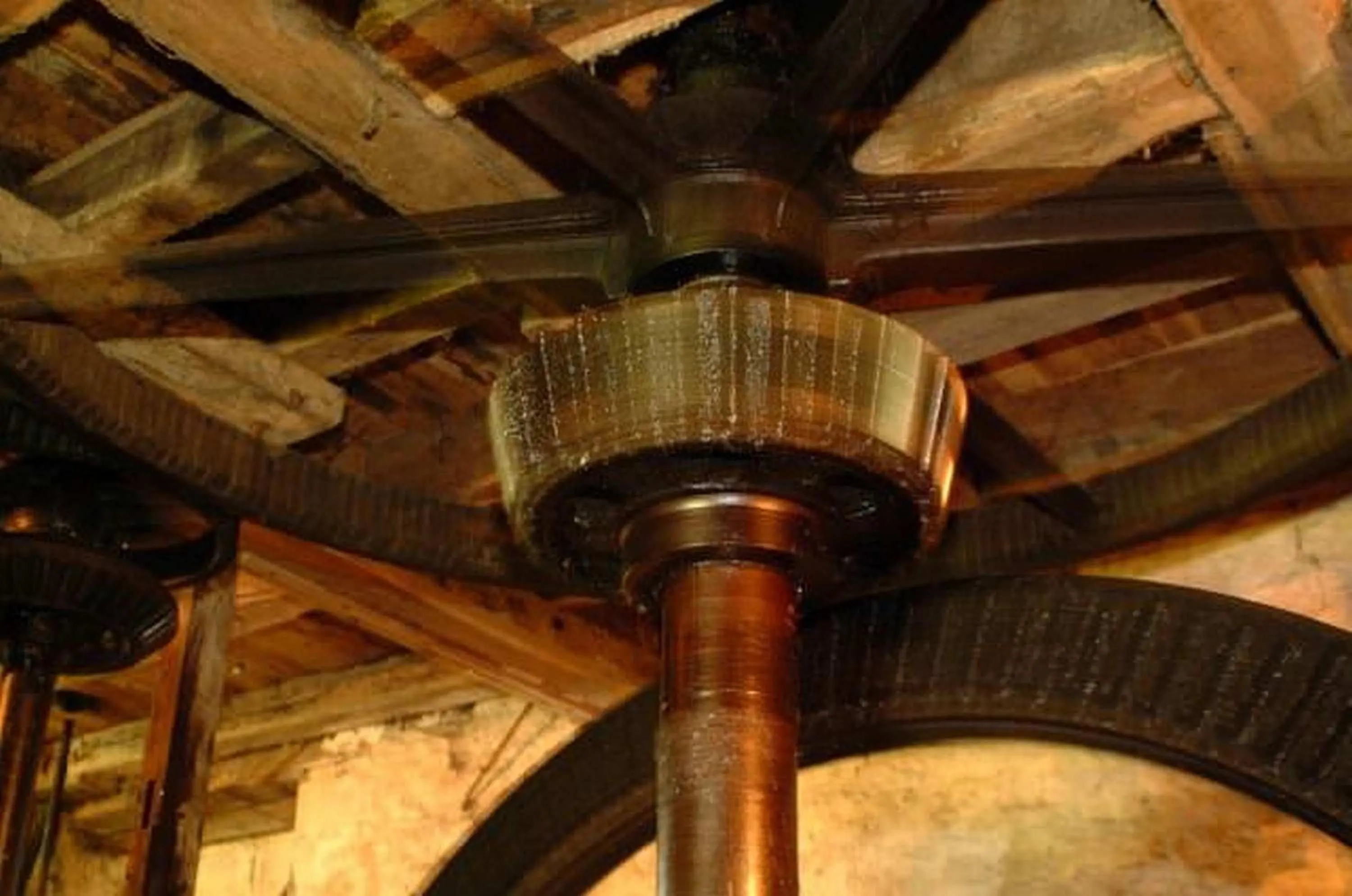 Activities in Moulin de la Fleuristerie