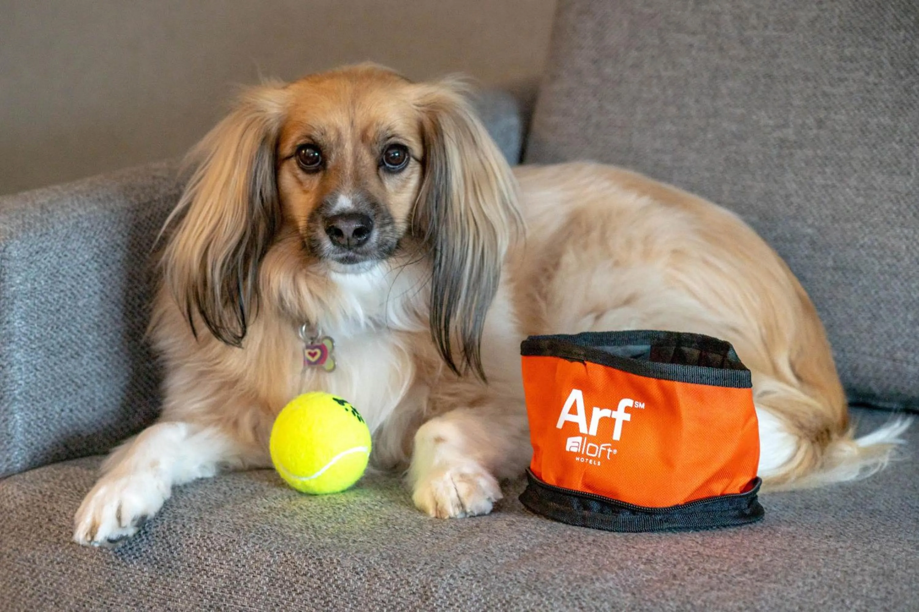 Other in Aloft Louisville Downtown